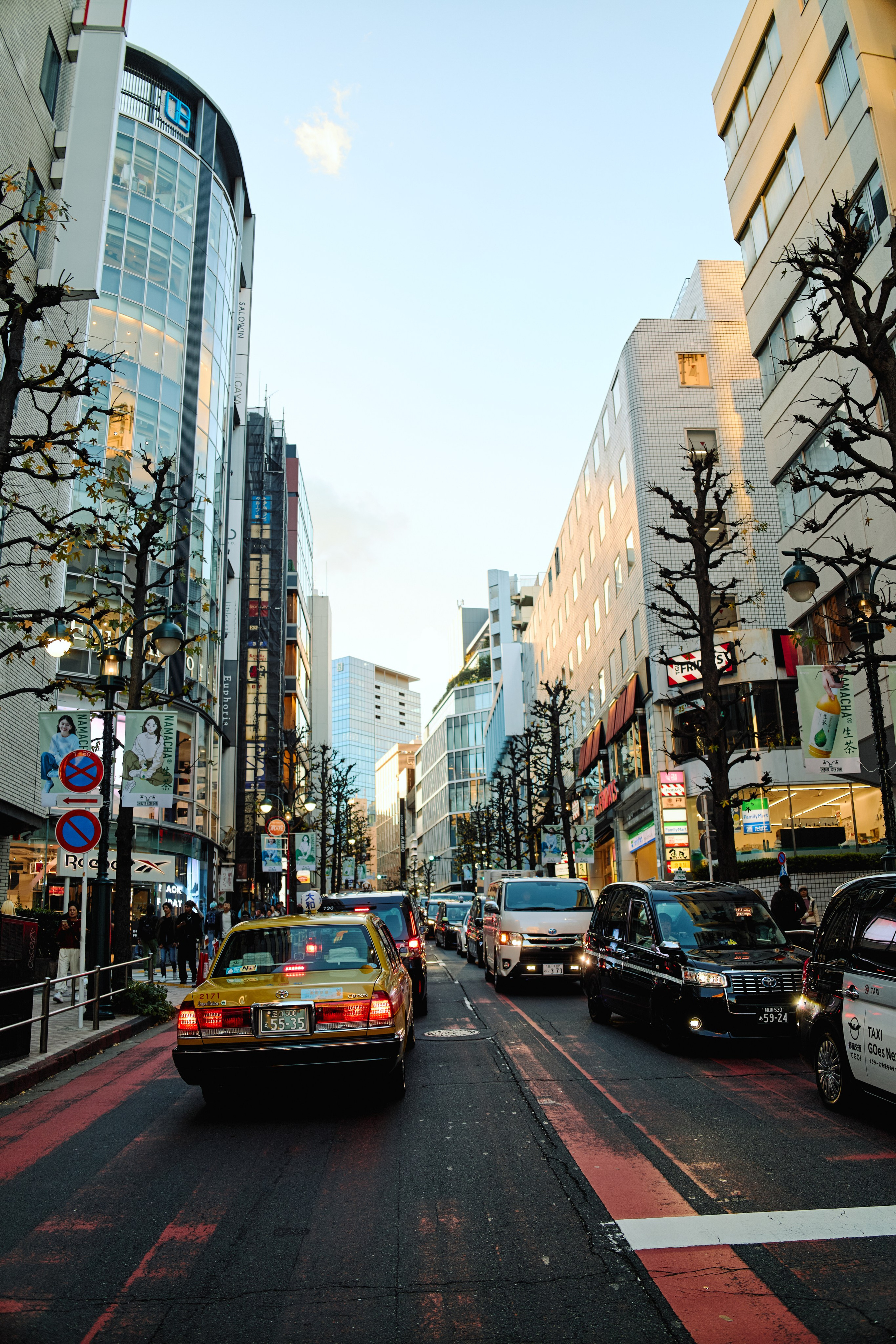 Япония. Профессиональный Фотограф во Владимире, в Москве и в Суздале — Полина Романычева