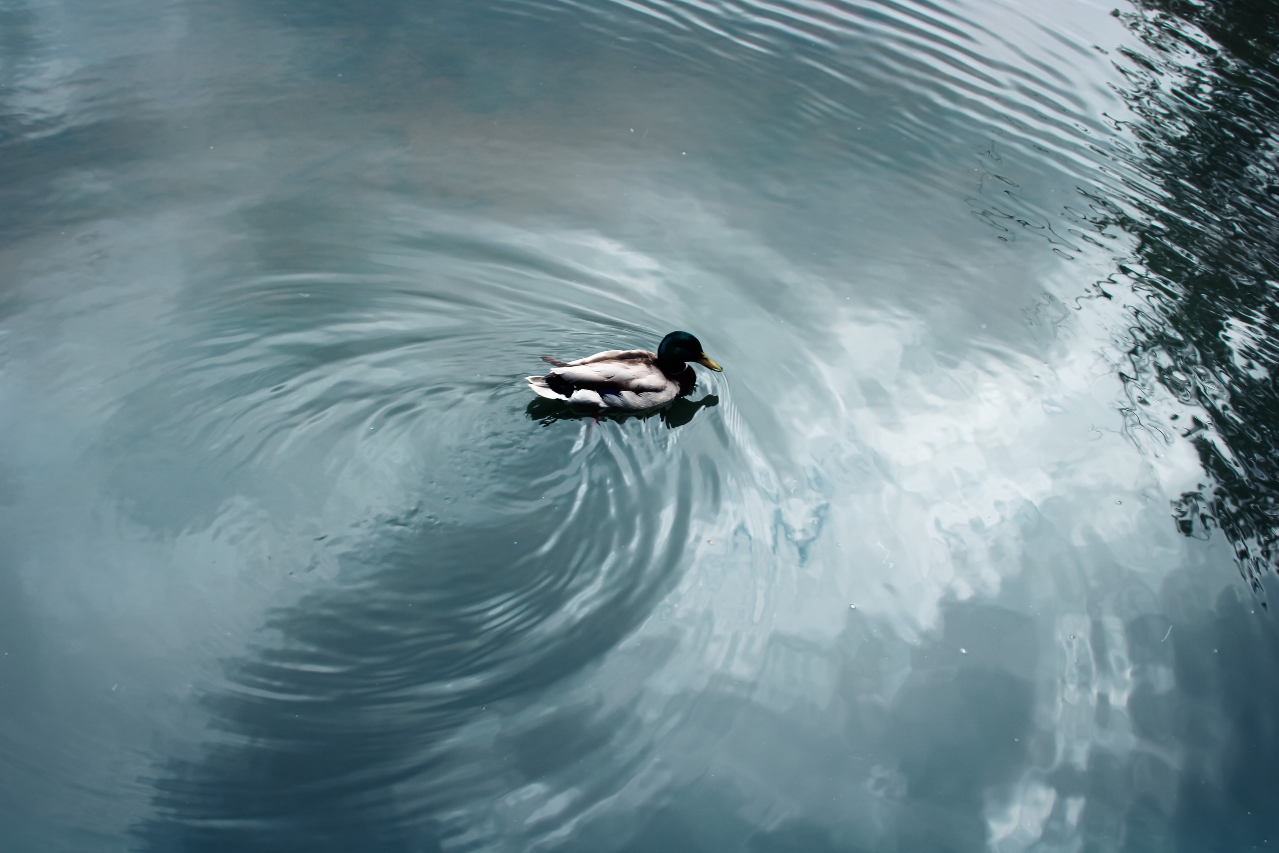 Вдохновение. Бутакова Елена фотограф в Екатеринбурге