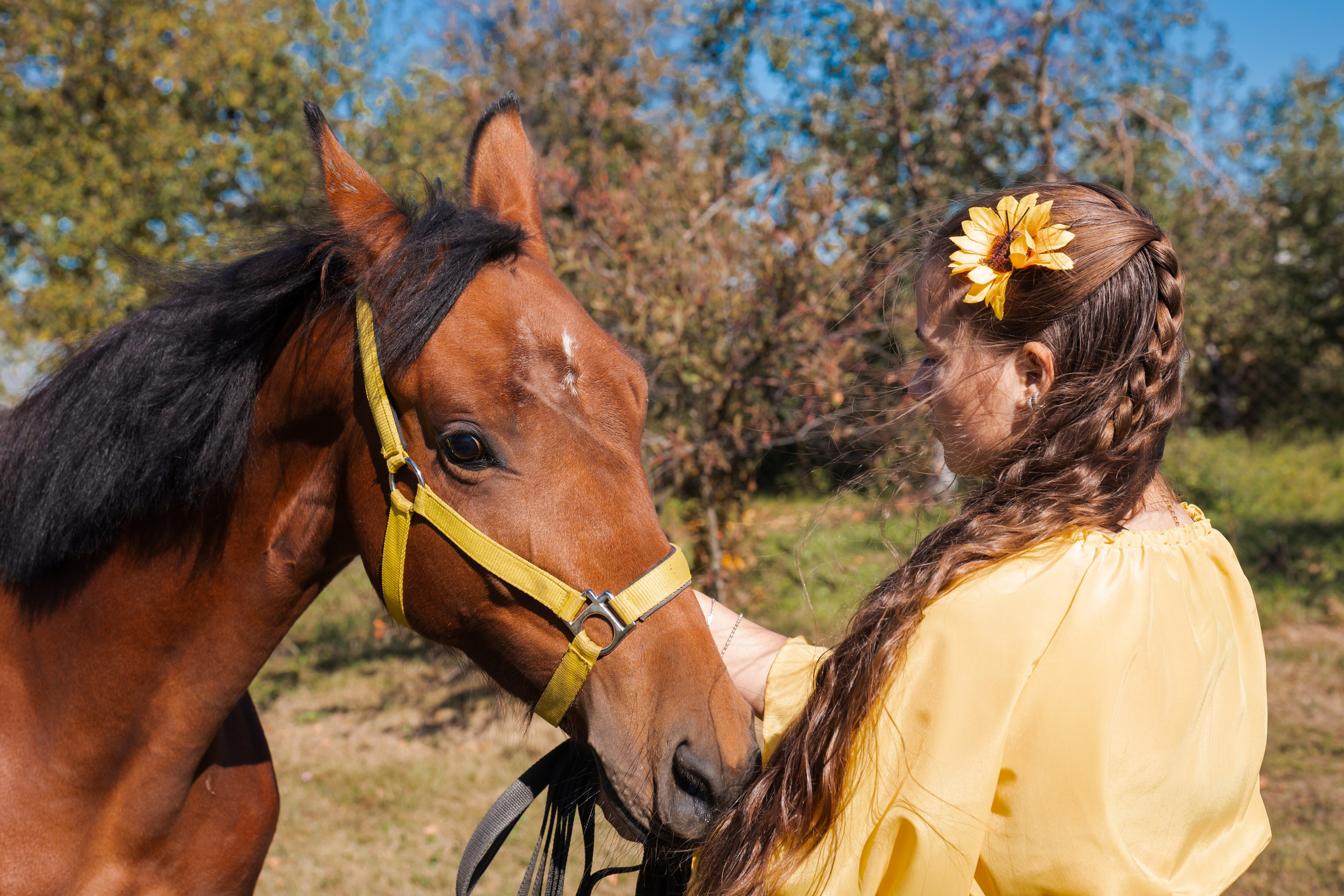 Фотосессия с лошадьми