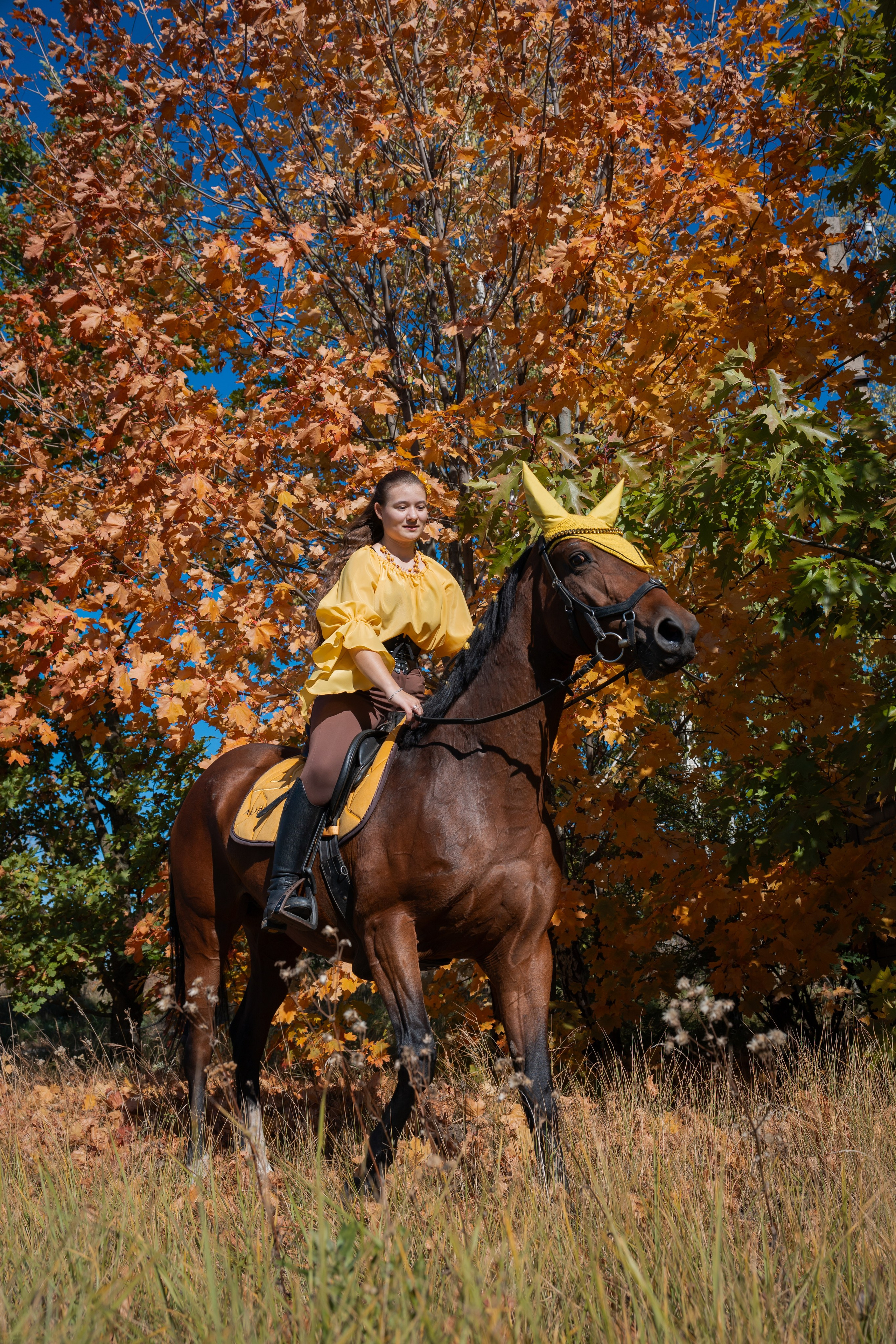 Фотосессия с лошадьми