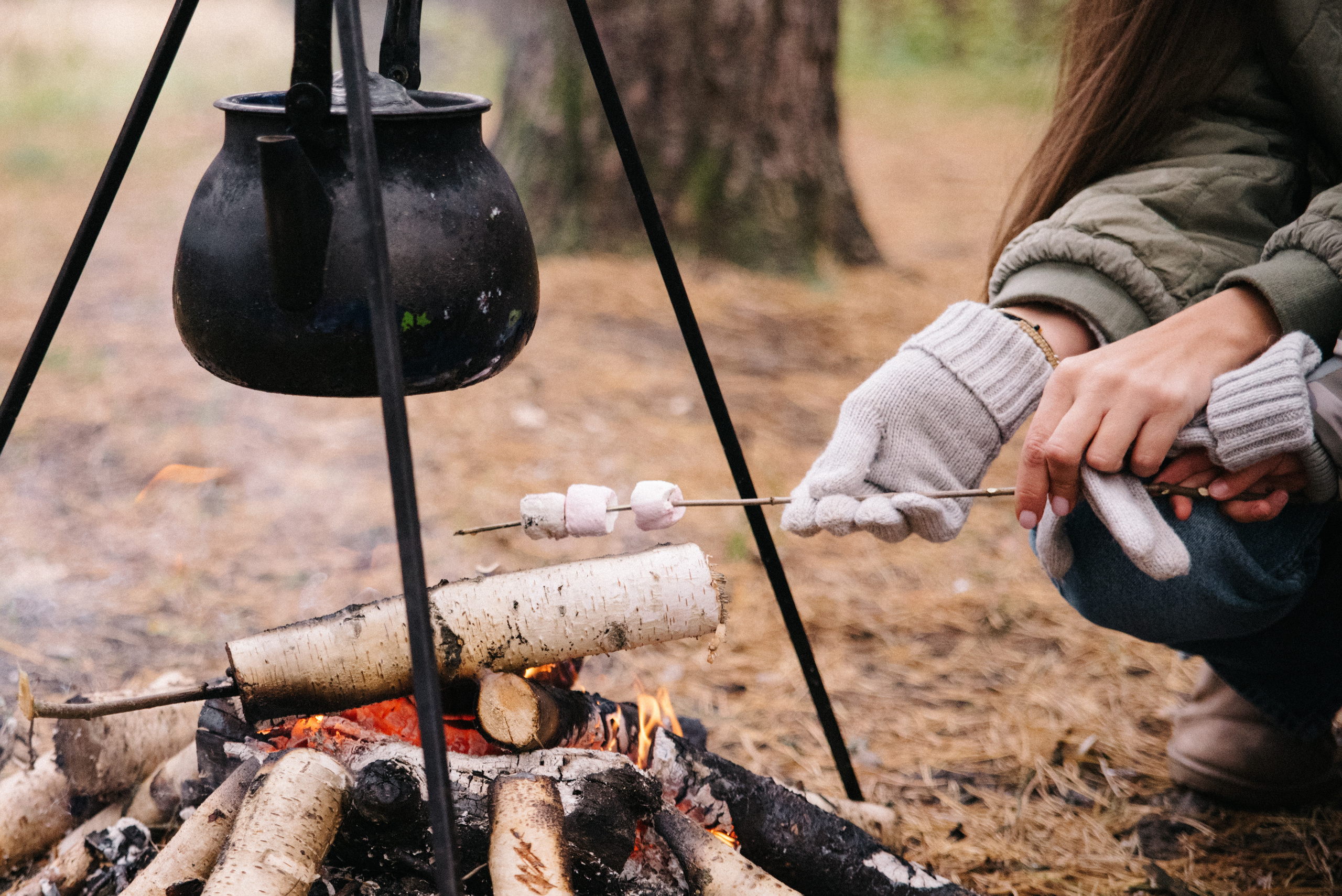 Пикник в лесу. Анна Гончарова свадебный и репортажный фотограф в Москве