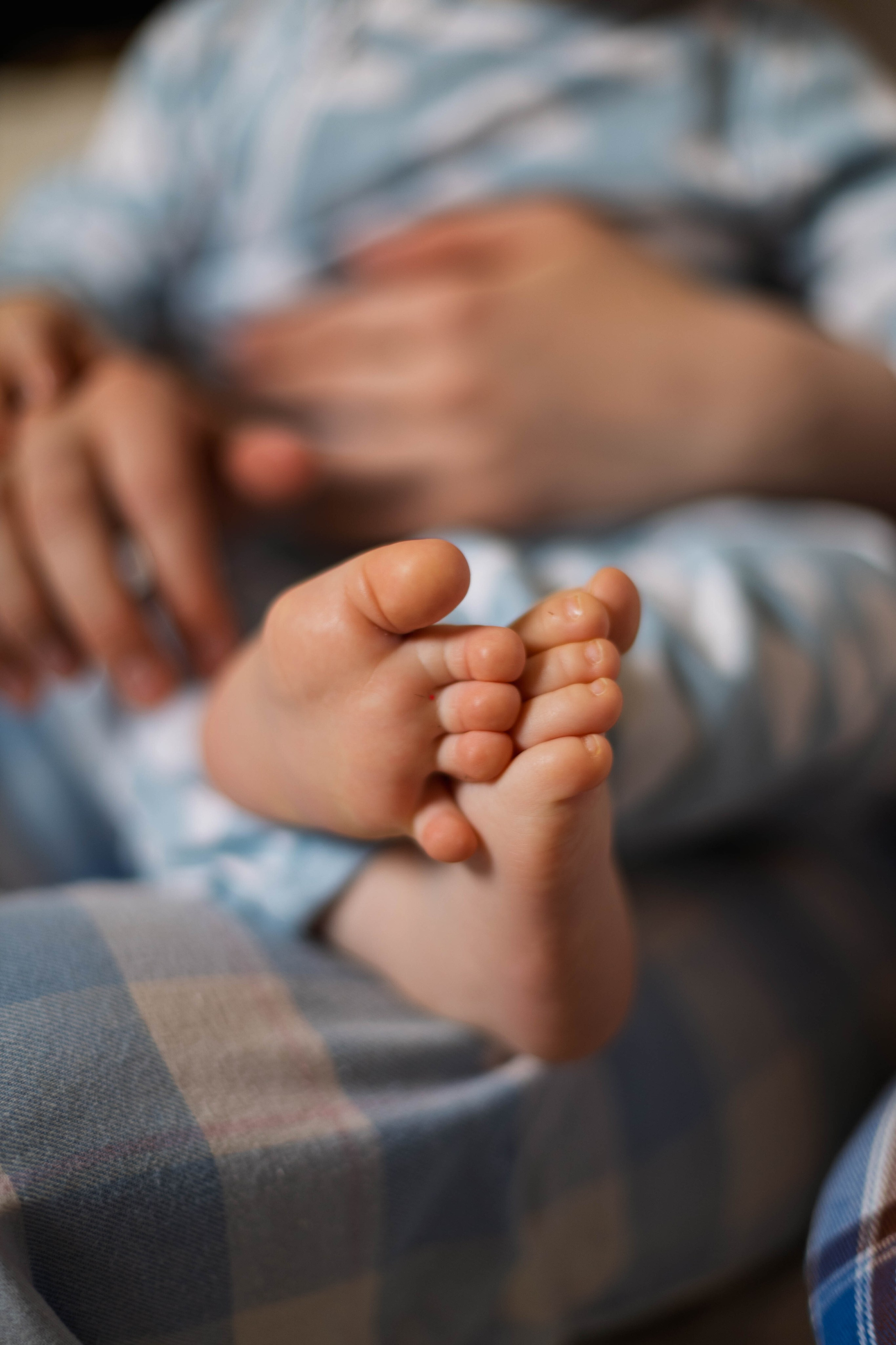 Миша и родители. Семейный фотограф Гульцовская Екатерина