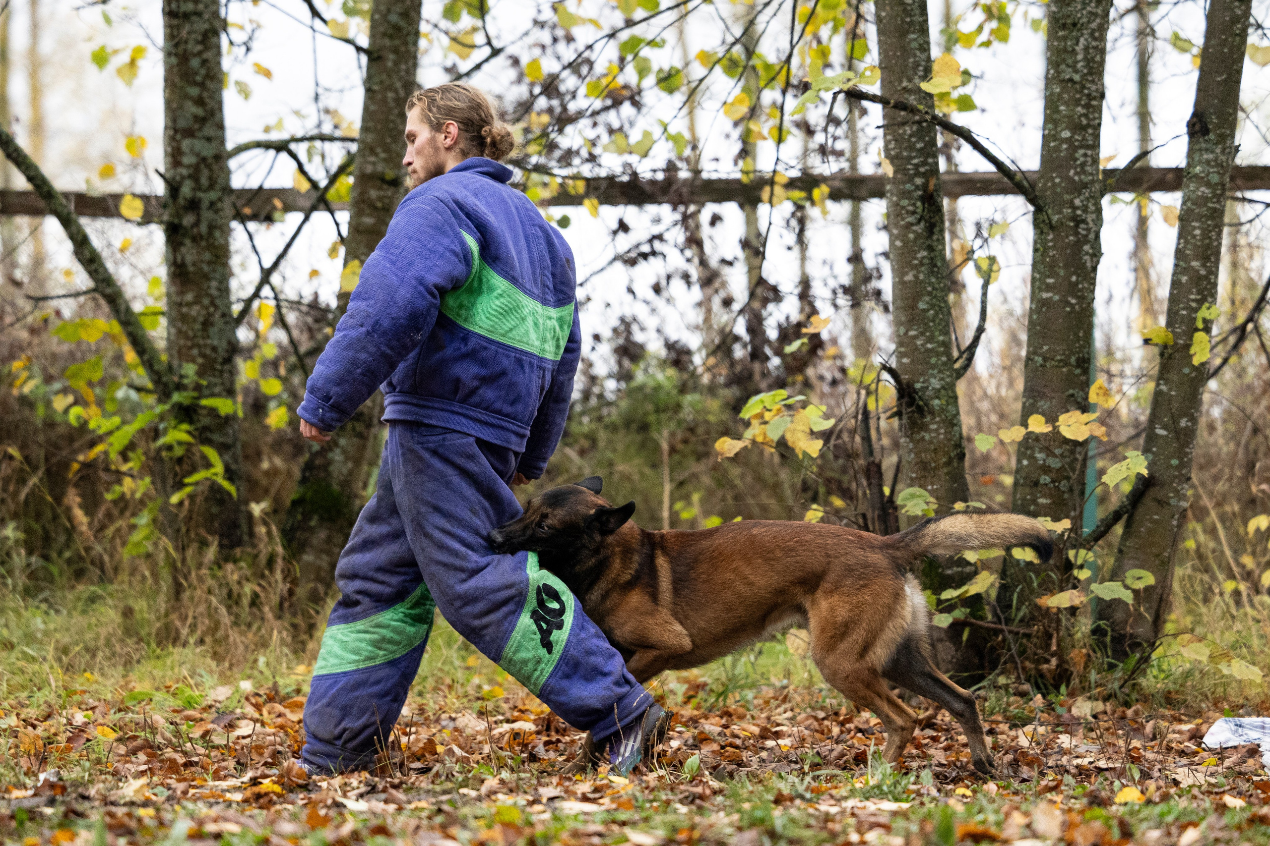 Соревнования по Мондьорингу г. Вологда. Фотограф-анималист Анна Маринич