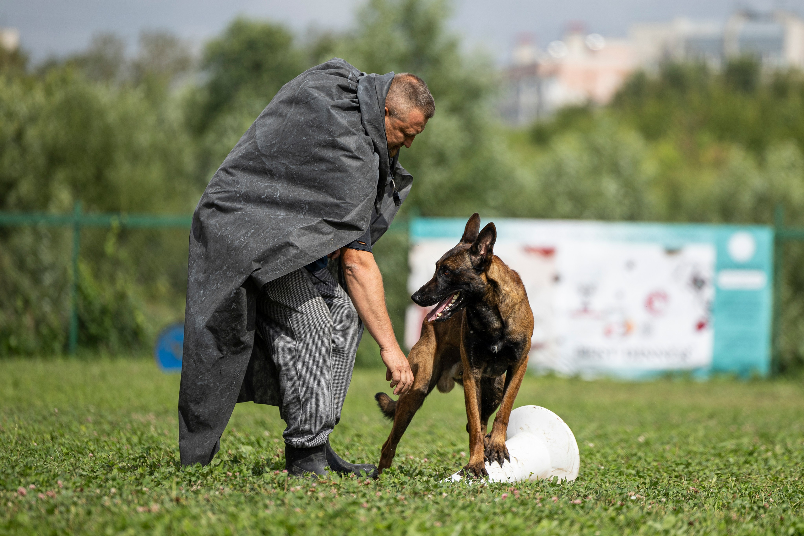 Соревнования по Мондьорингу г. Вологда 10-11.08.2024. Фотограф-анималист Анна Маринич