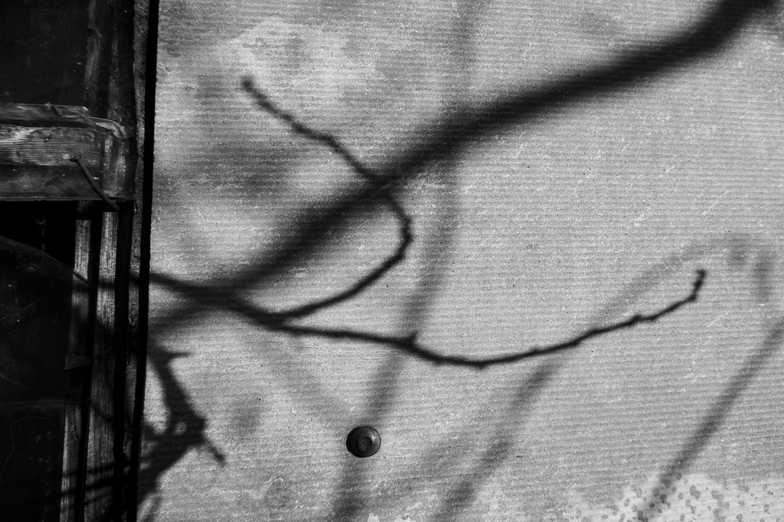 Деревня / Юг. Фотограф Антон Денисенко: Портрет, Документалистика, Пейзаж. Москва