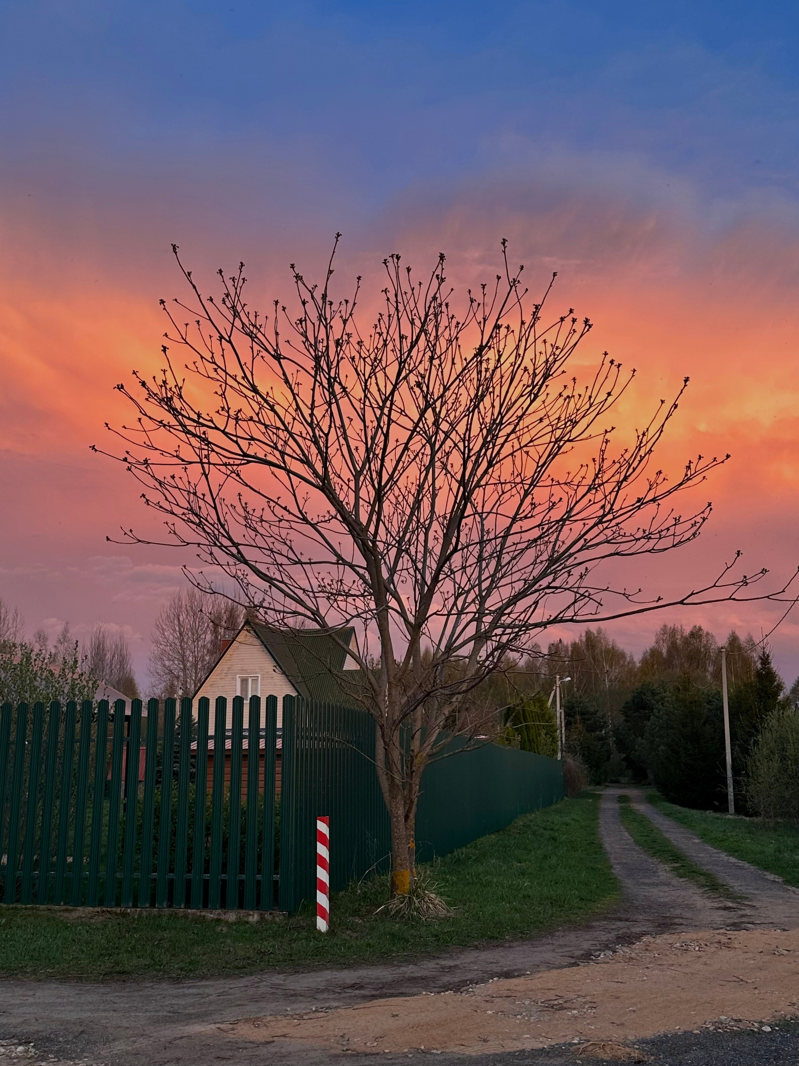 EXHIBITION. Репортажный и интерьерный фотограф, фотохудожник