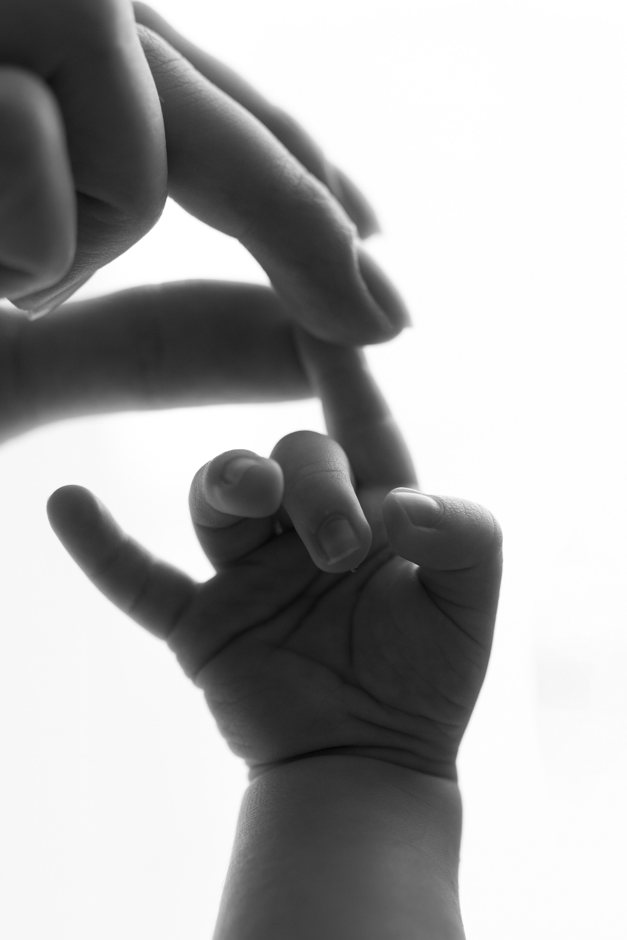 Остап. Семейный фотограф в Краснодаре Яна Морева