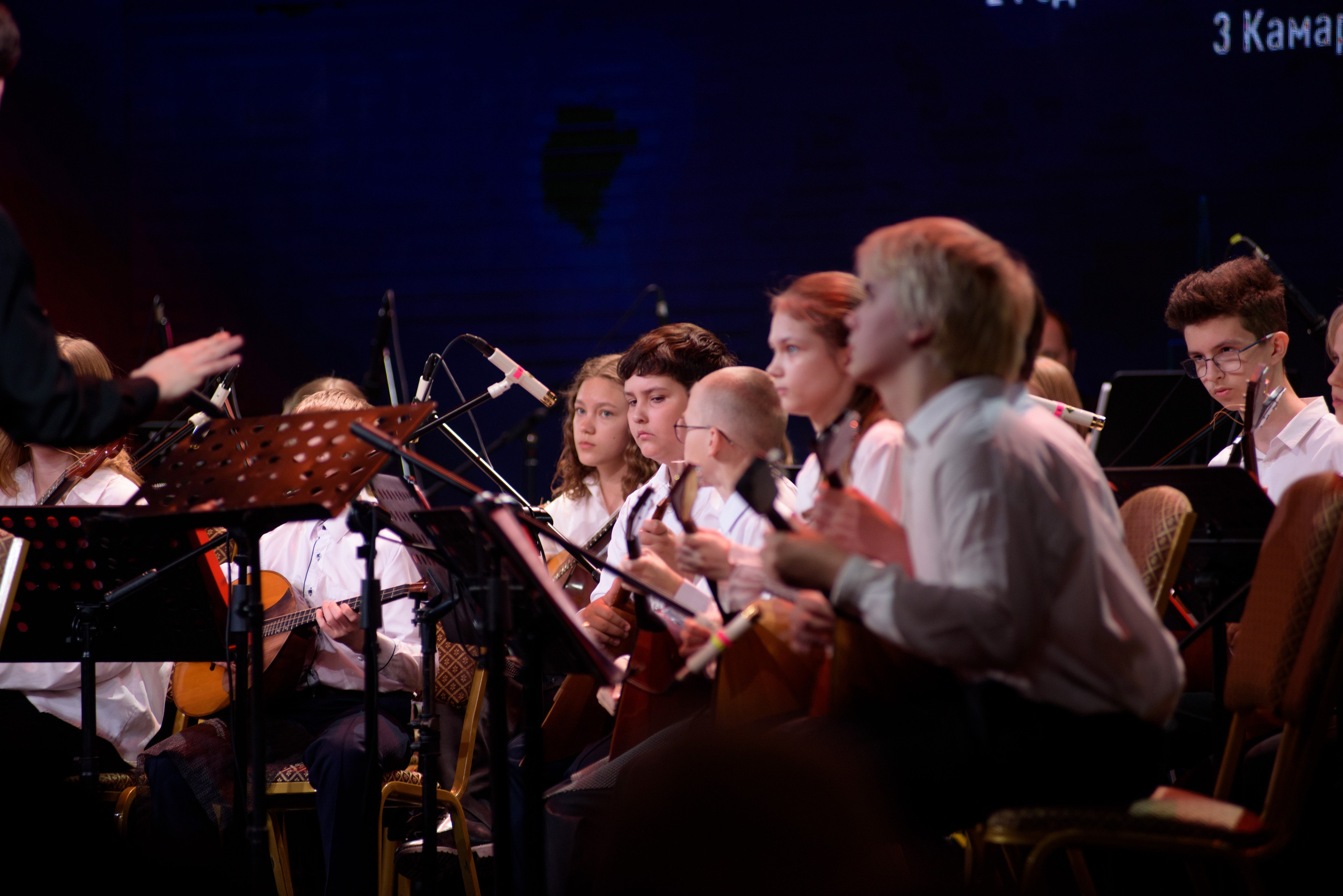 Репортаж Чемпионат России по аккордеону. Фотограф новорожденных, семейный детский в Тюмени Татьяна Морозова