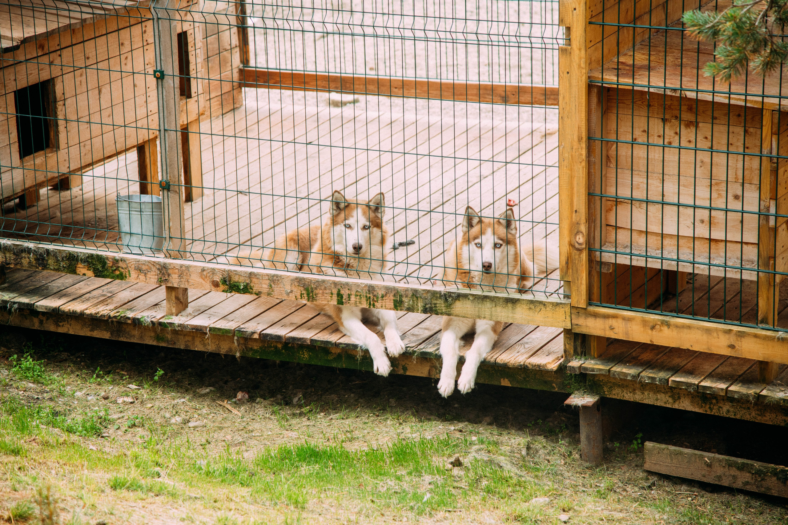 Кольский полуостров. Фотографирую для себя, своей семьи и друзей!