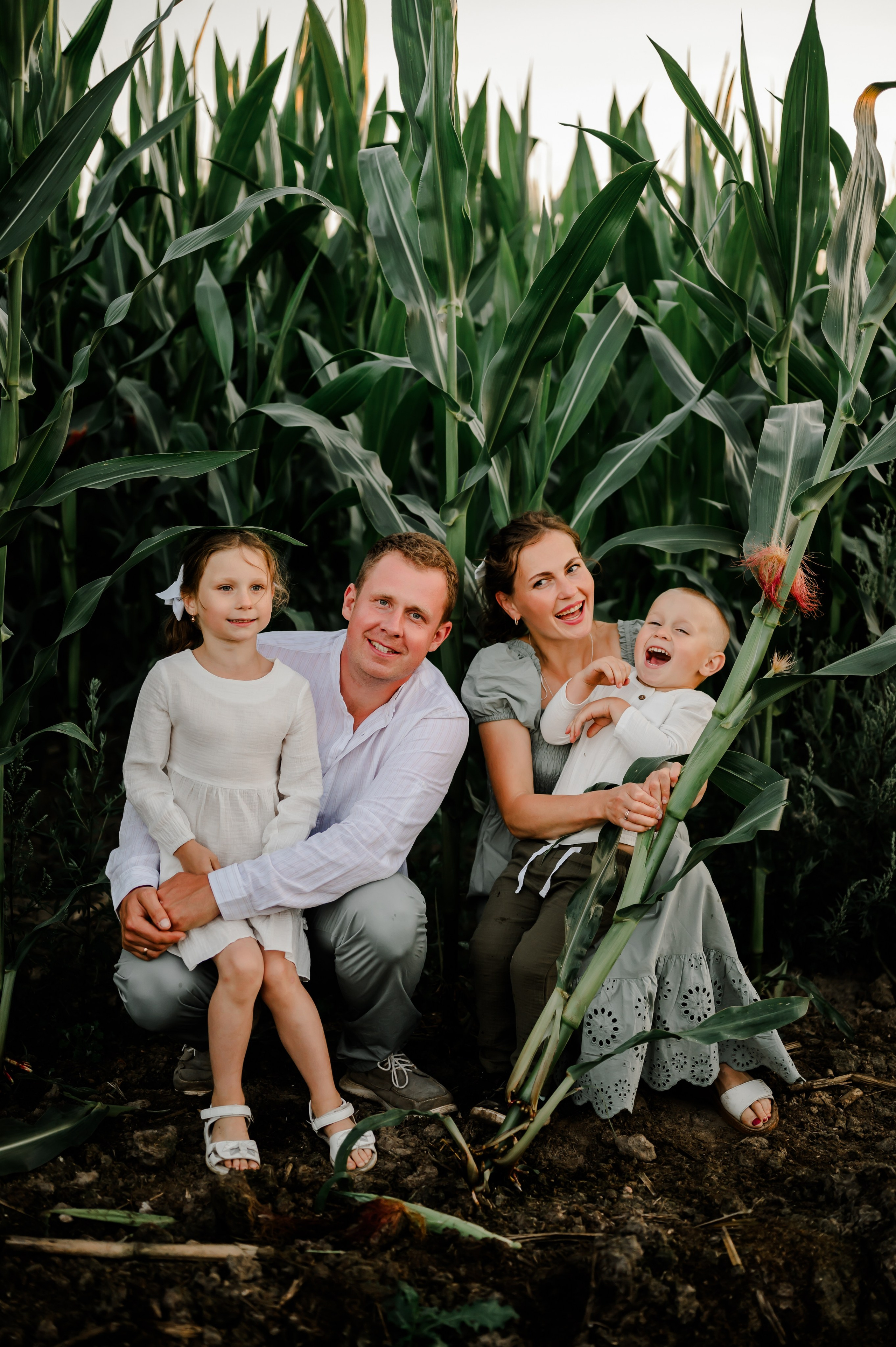 Кукуруза+сено, семейная фотосессия. Свадебный и семейный фотограф Евгения Кононова
