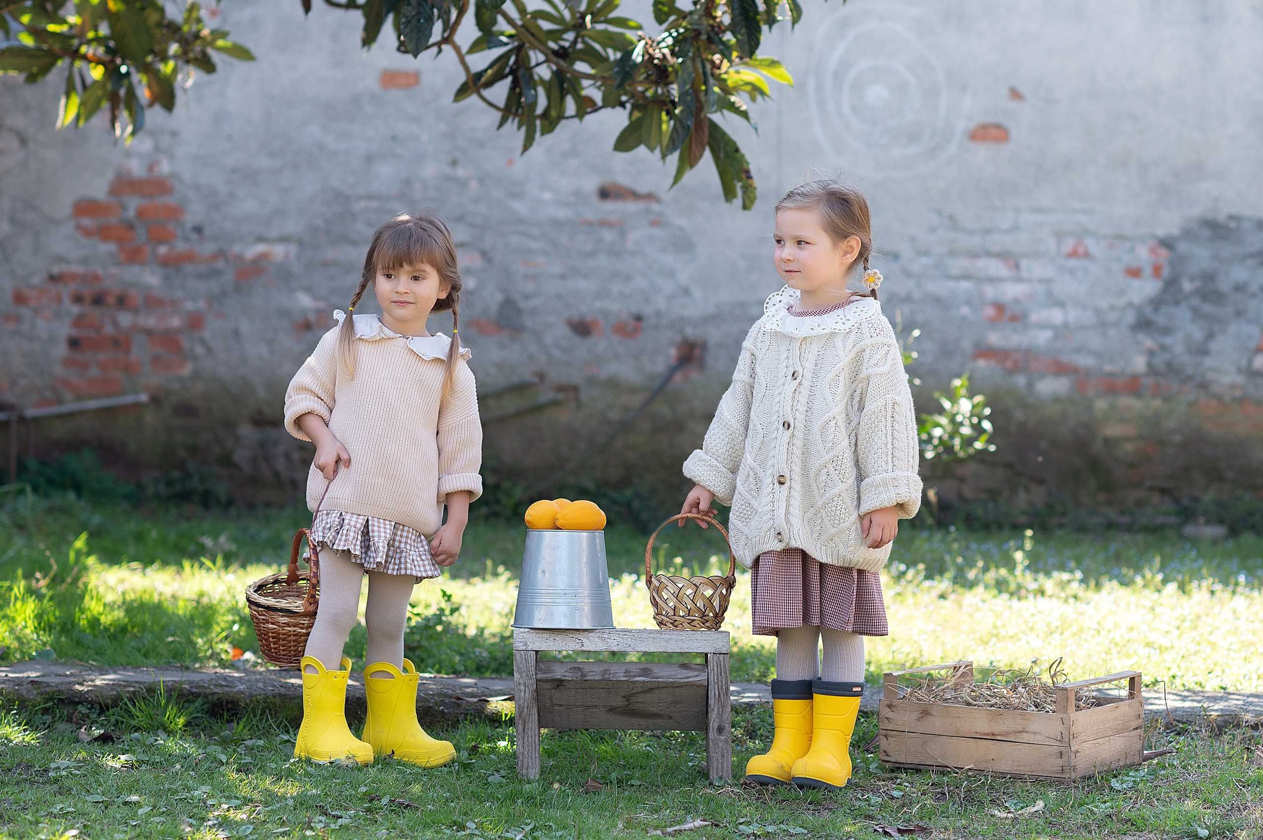 Курочки. Детский фотограф Абхазия