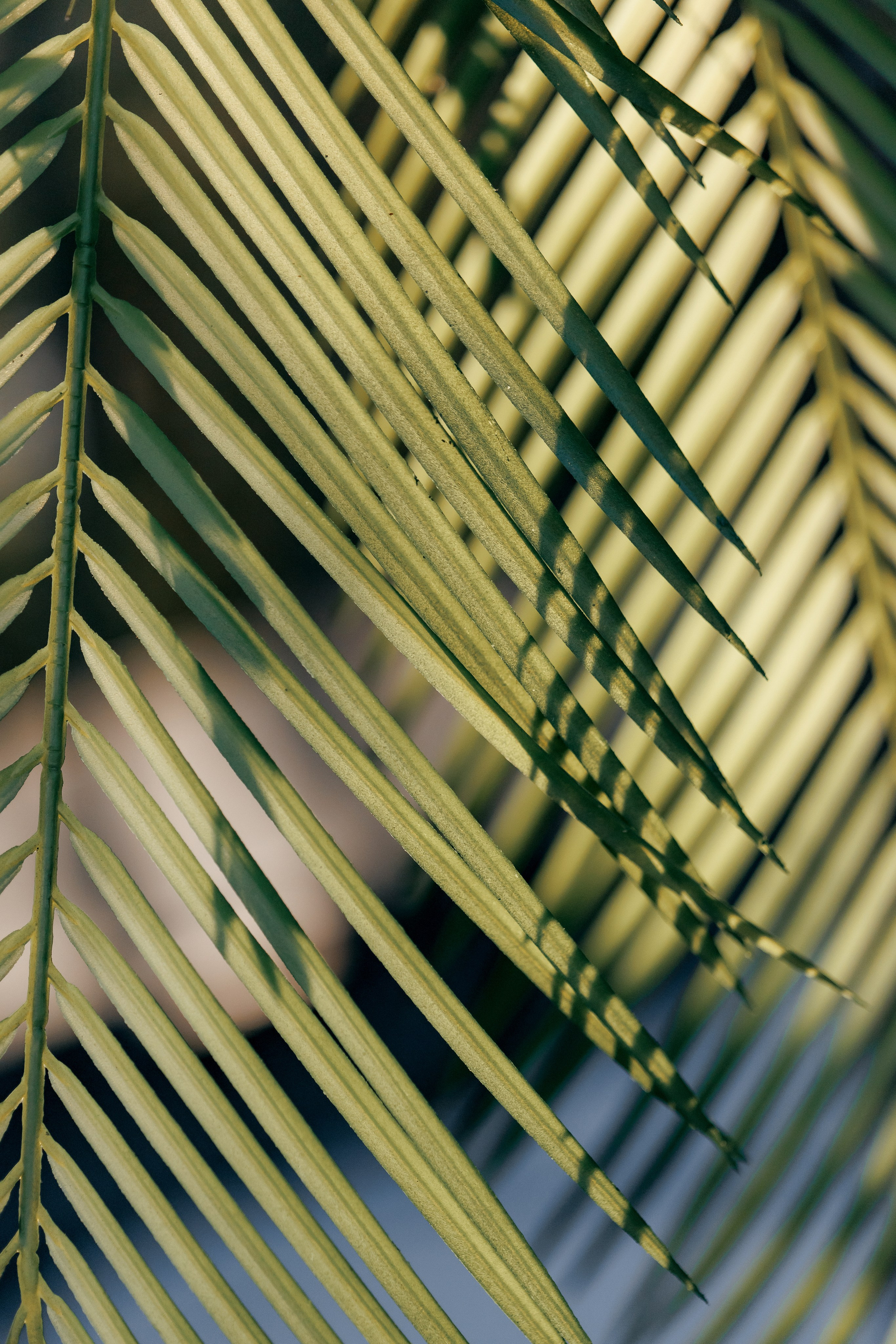 ME2ME. Wedding and Reportage photographer Marmarov Christya