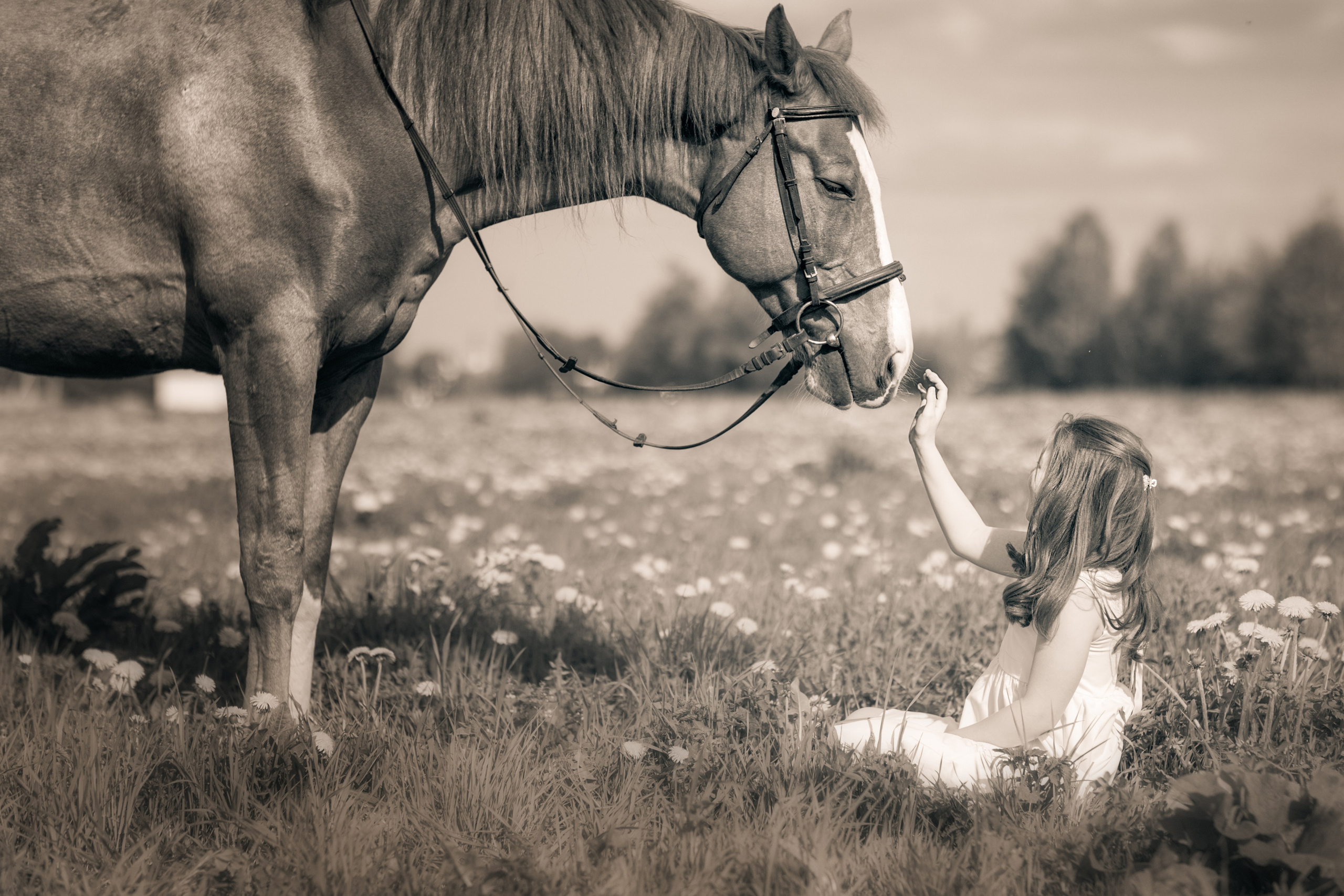 Фотосессия с лошадьми. Фотограф Санкт-Петербург Елена Мухина