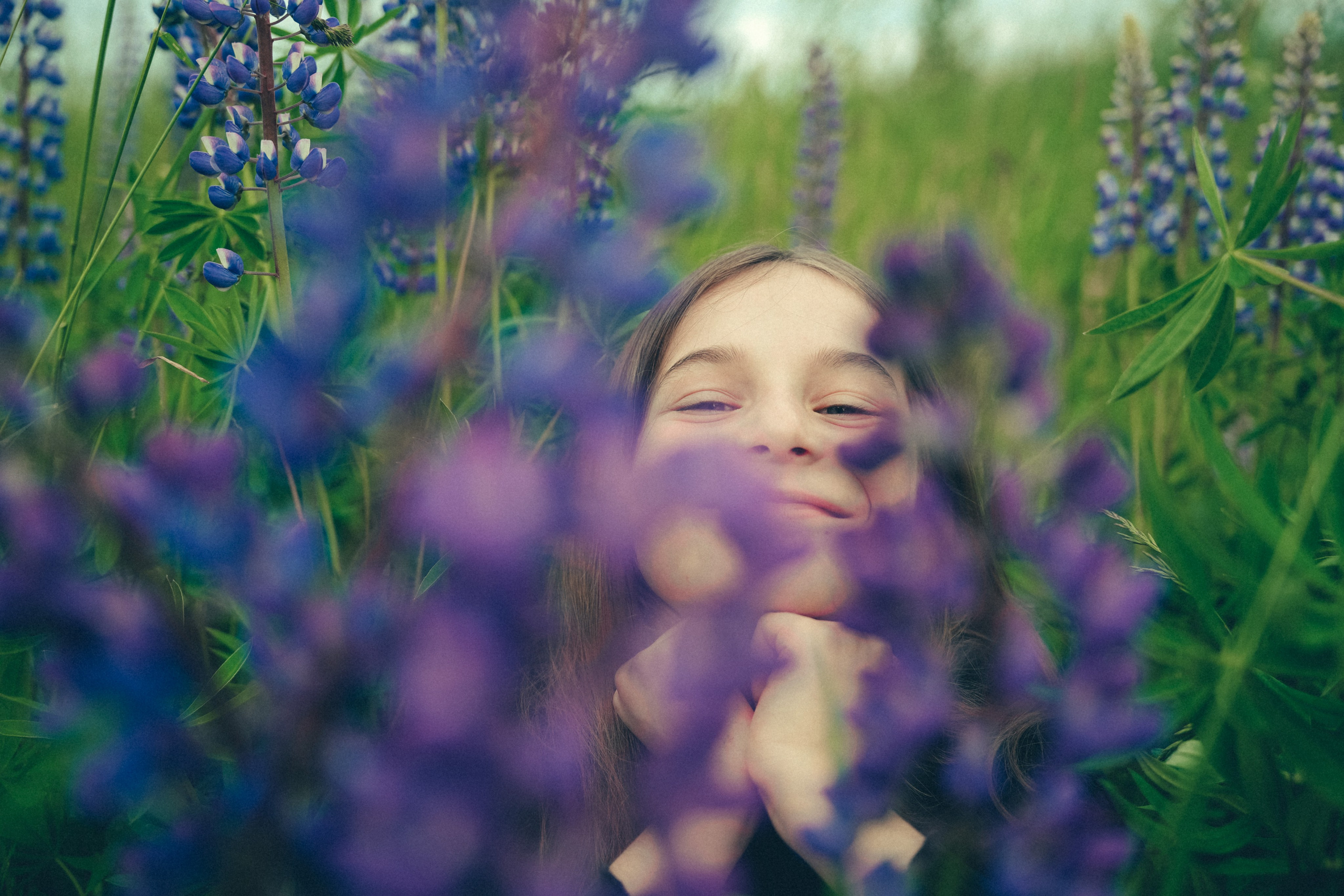 Люпиновое поле. Портретный фотограф в Санкт-Петербурге Дария Сыч
