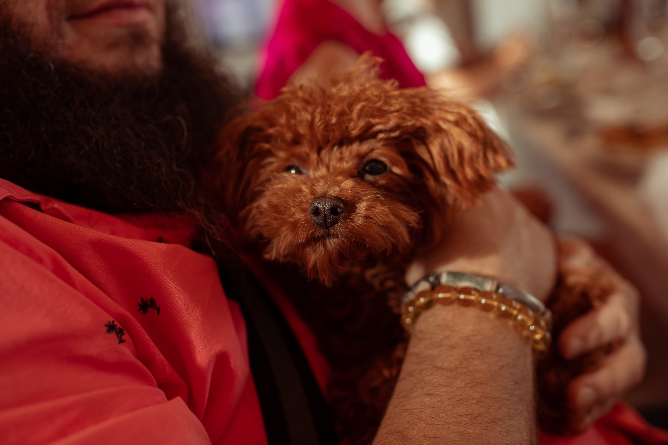Юбилей Полины в Пароходе. Семейный и детский фотограф в Москве Дорогова Екатерина