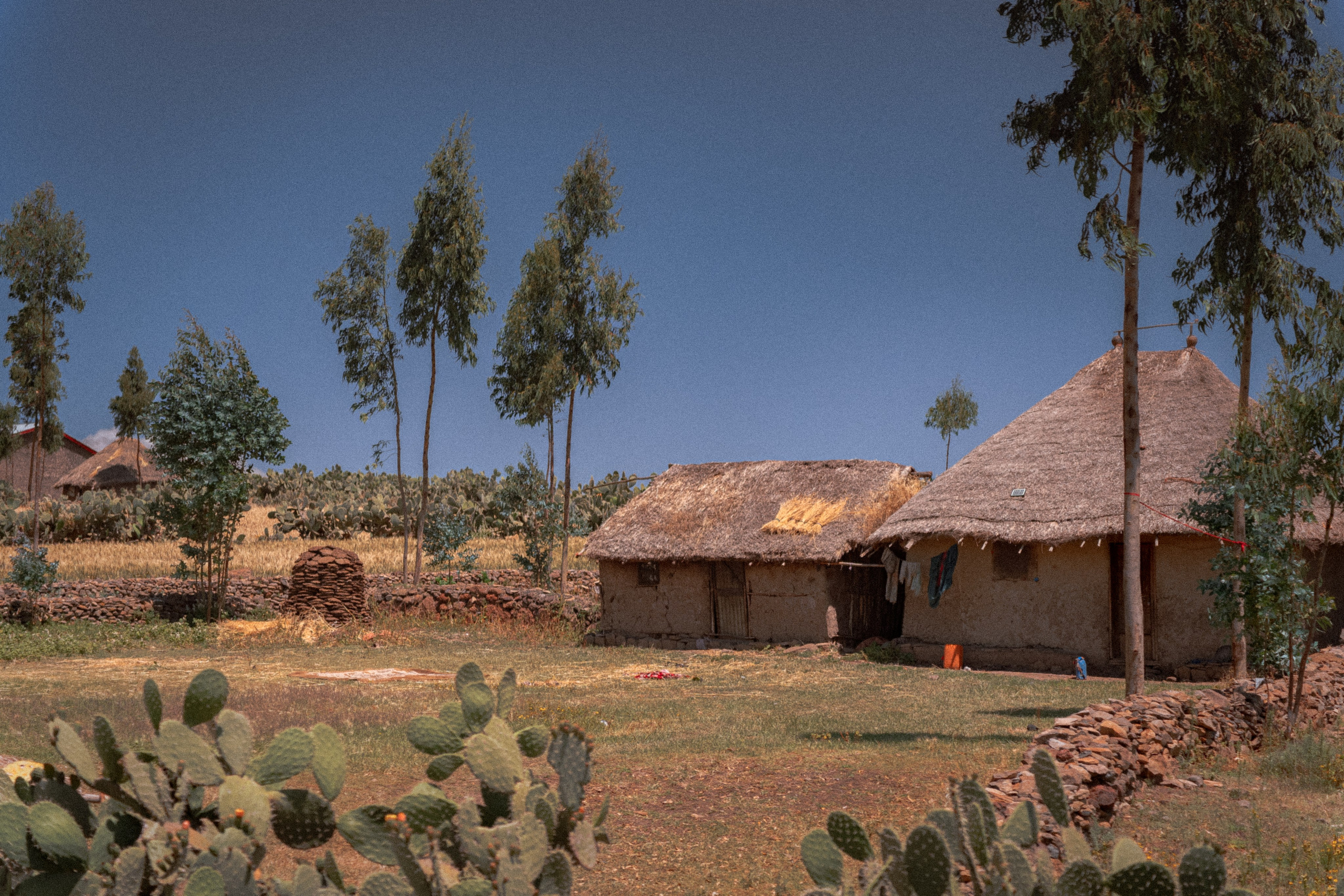 Глиняные дома в Эфиопии