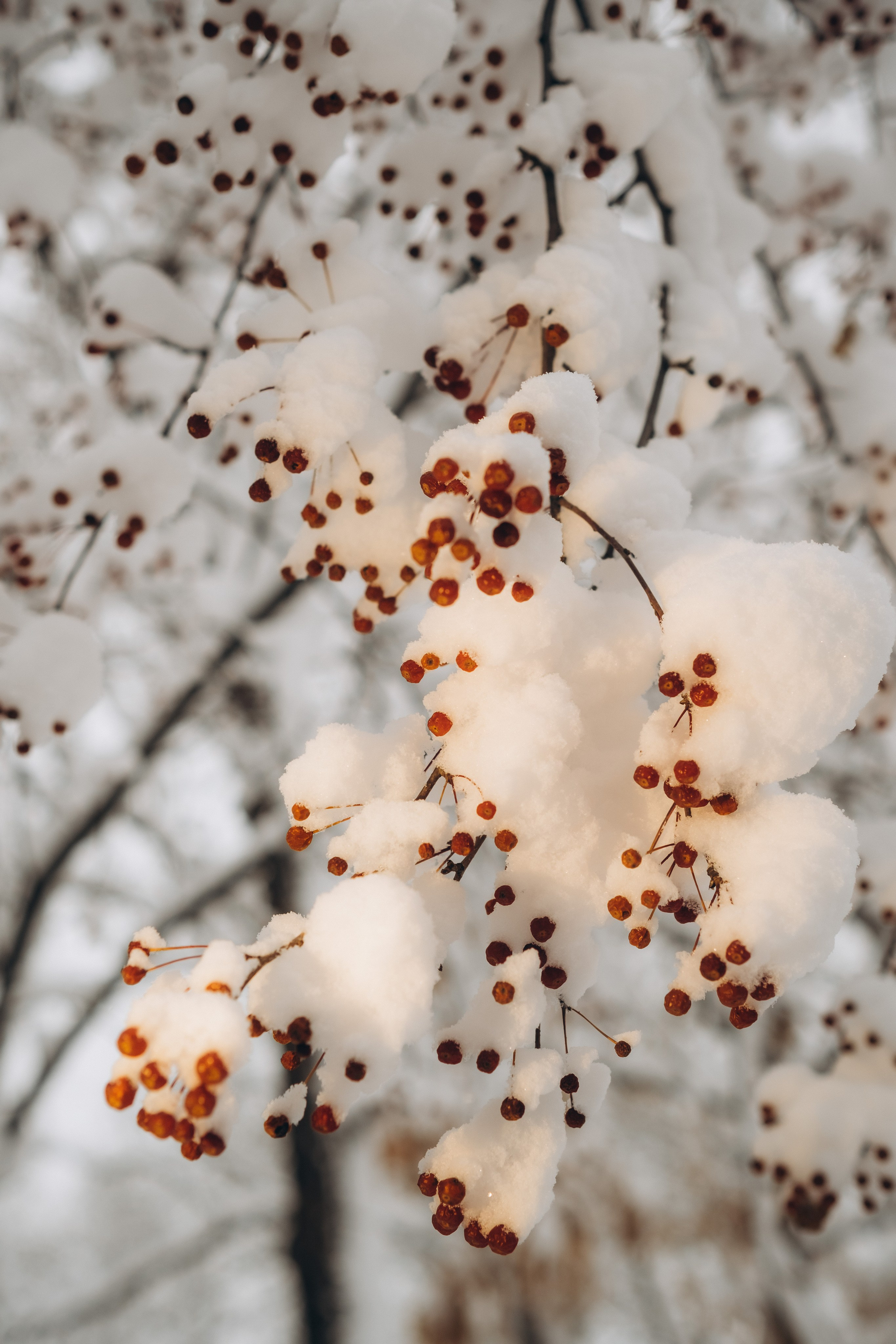 Семейный и женский фотограф в городе Благовещенск Надежда Буярова
