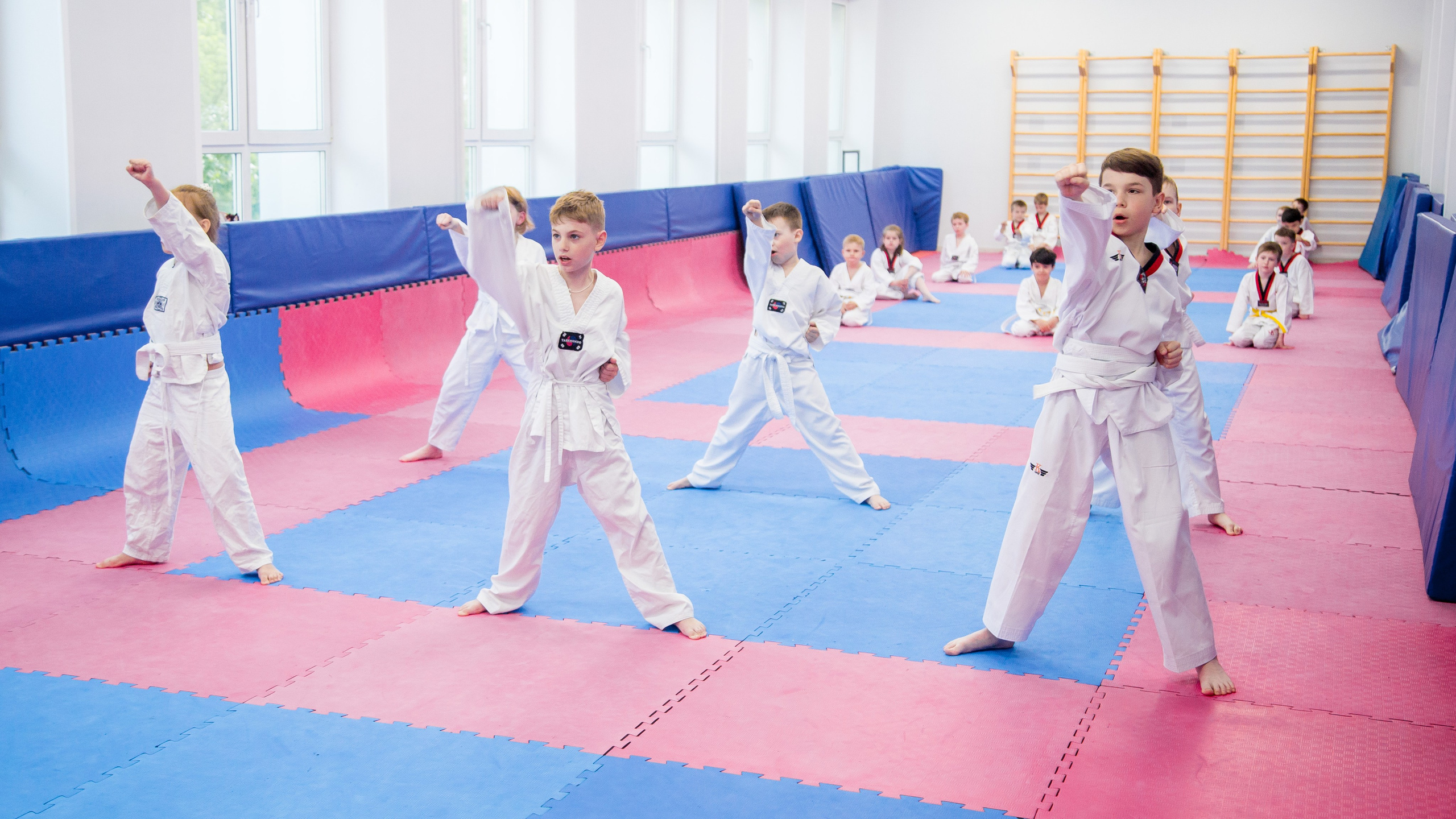 Желтый пояс по тхеквандо. Репортажный фотограф Борис Геер