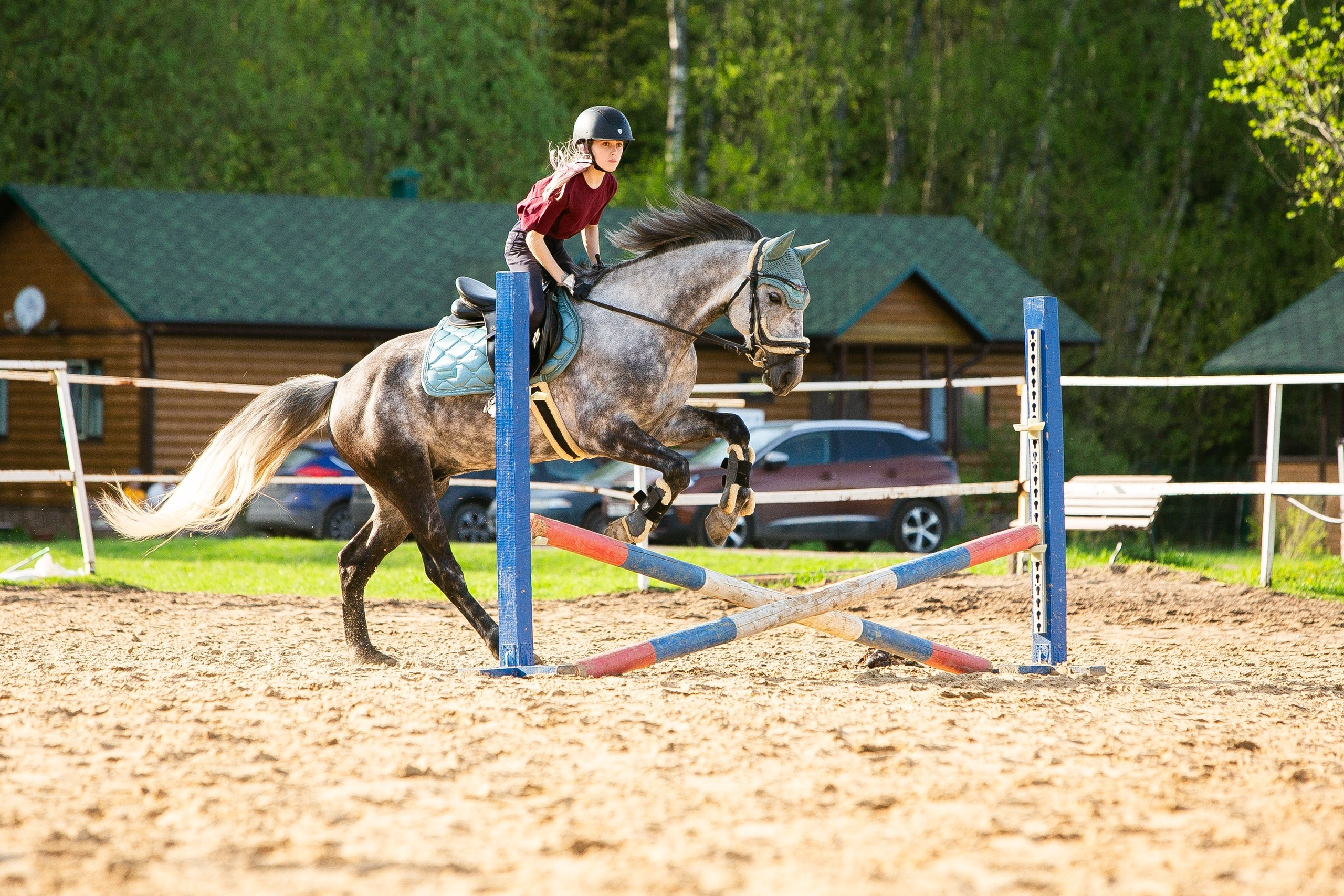 Соревнования. Конный фотограф Юлия Дроздова