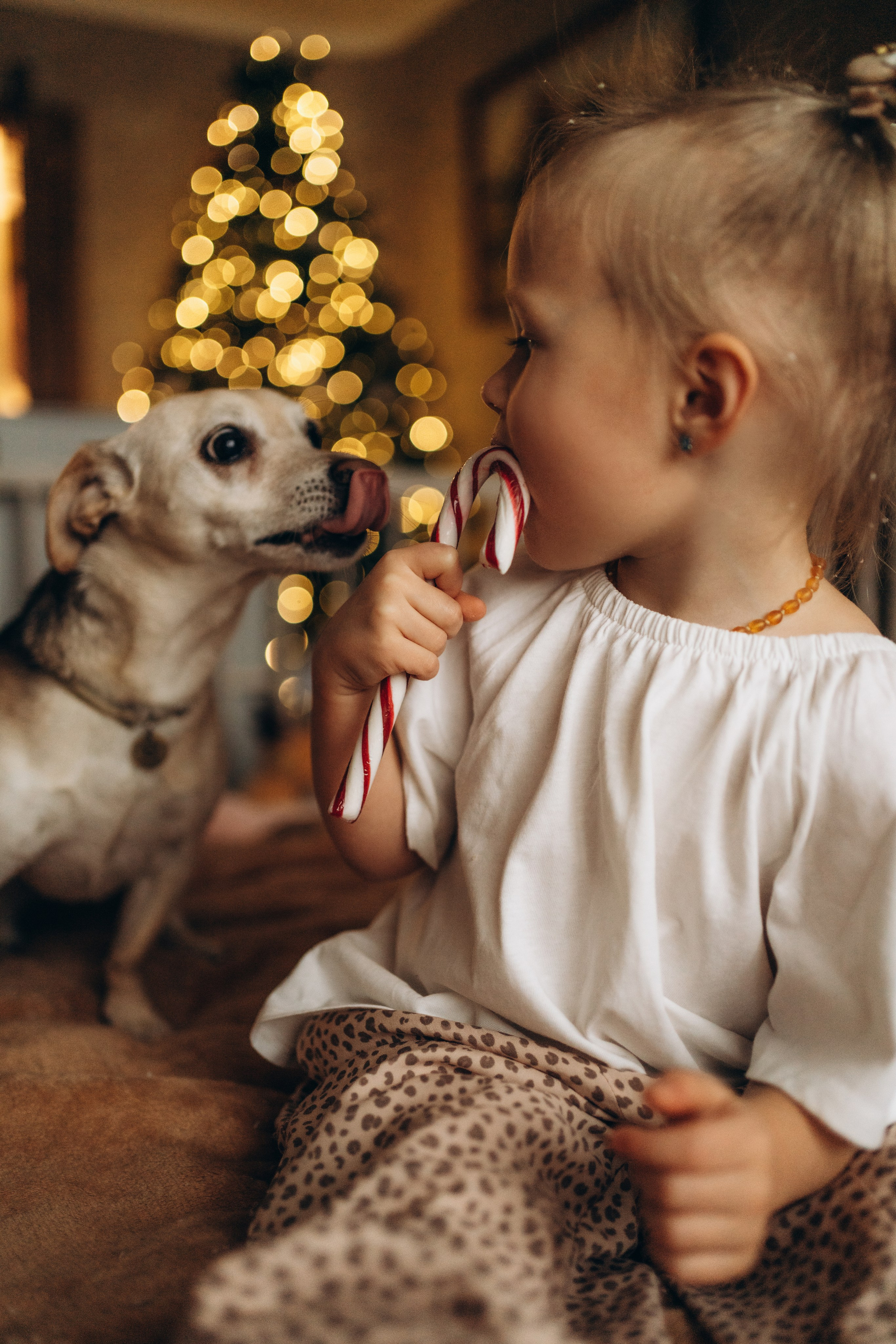 Настя, Леша, Алиска и Сеня. Фотограф в Минске — Мария Миллс