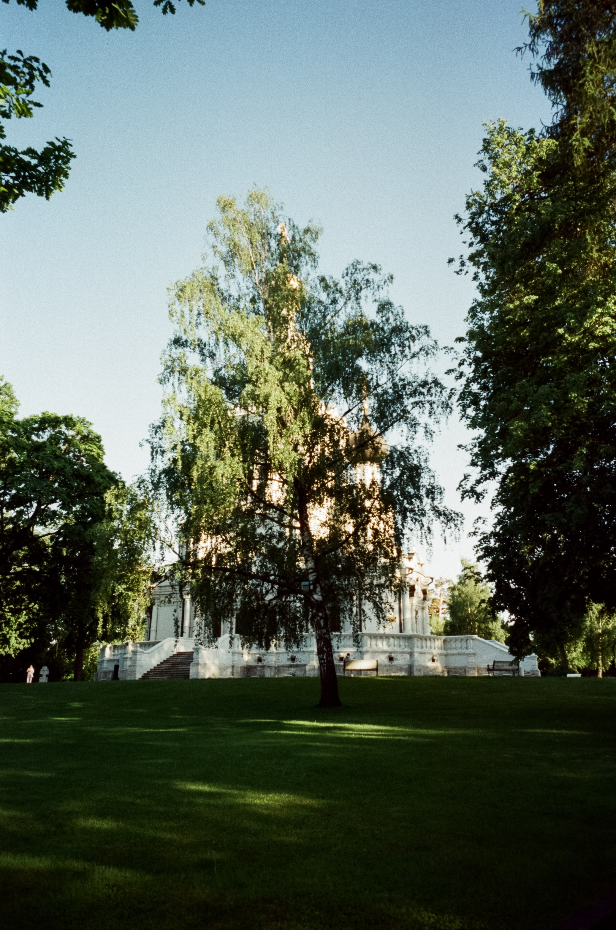 Ricoh GR10 / SFL 250D / Тестовая пленка у речки в Строгино