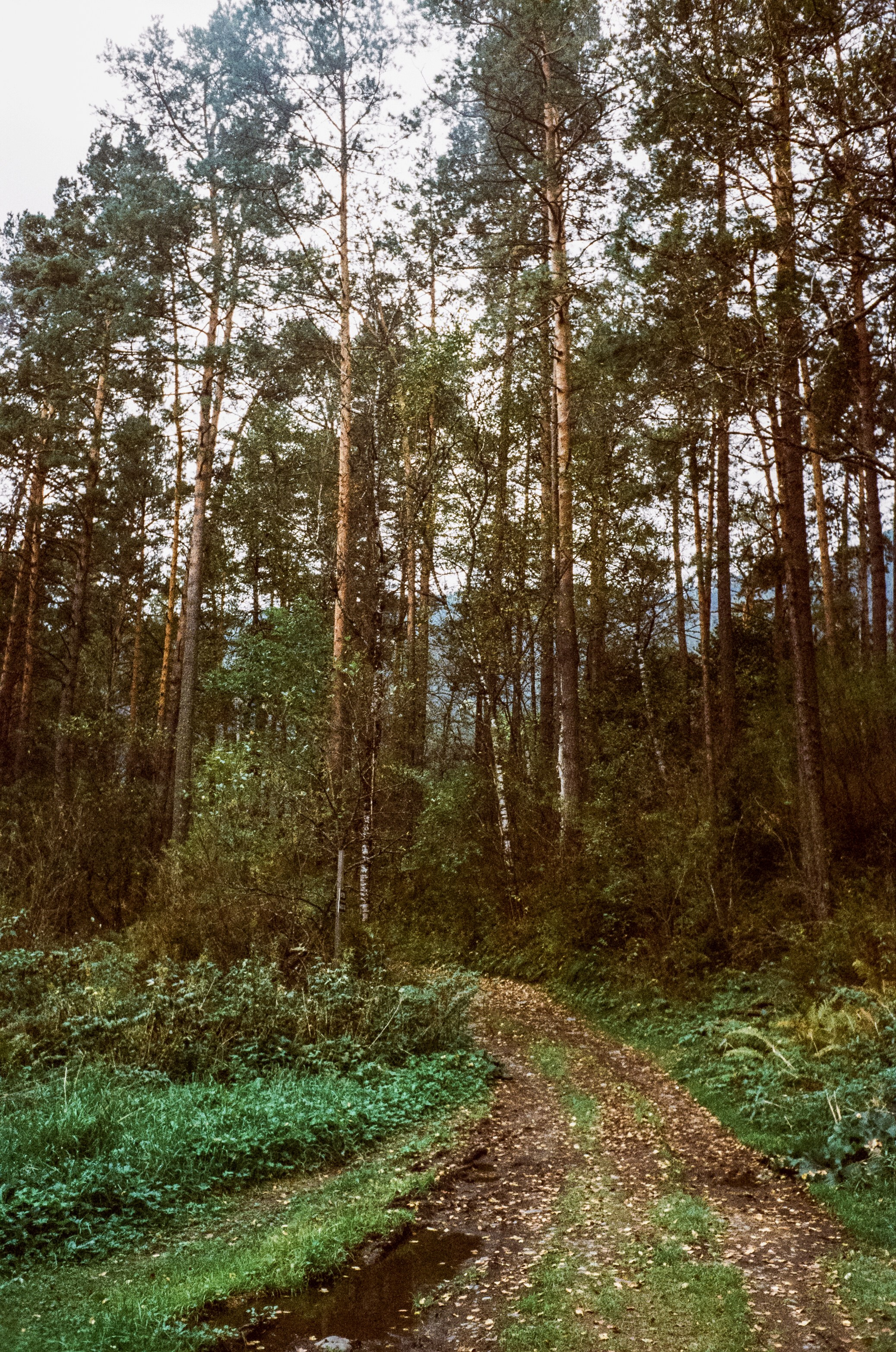 Горный Алтай на пленку