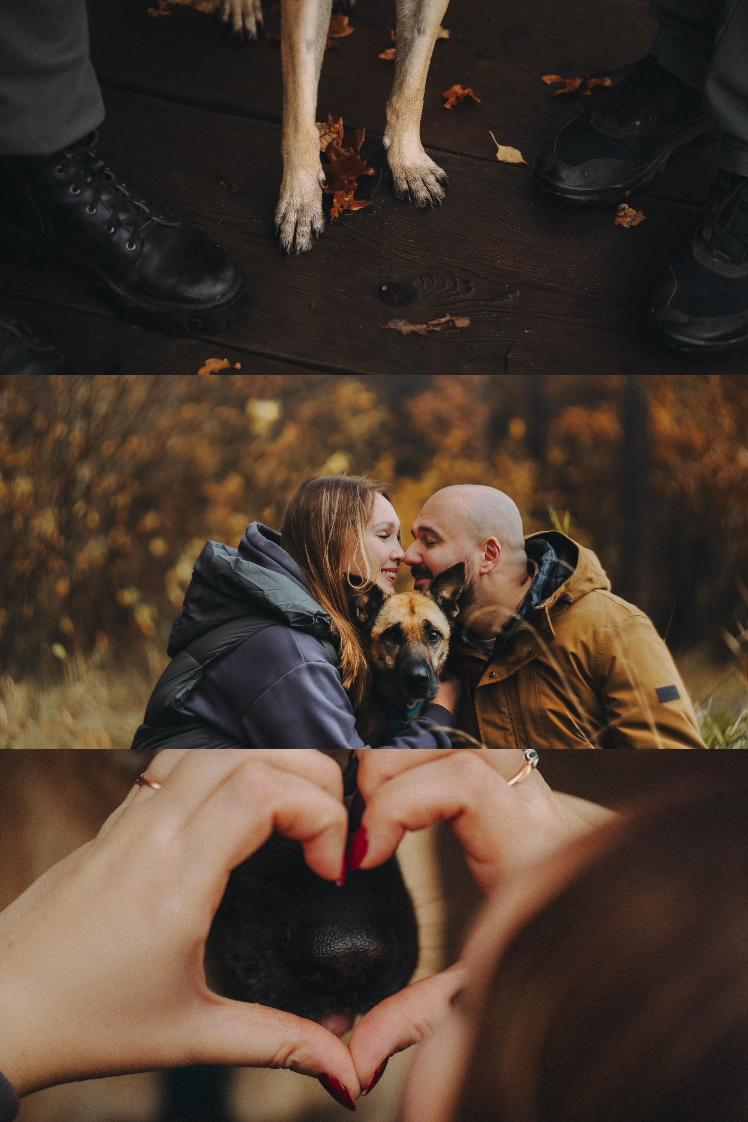 Наталия, Иван и Урса. Фотограф анималист в Москве и Санкт-Петербурге Свиридова Анна