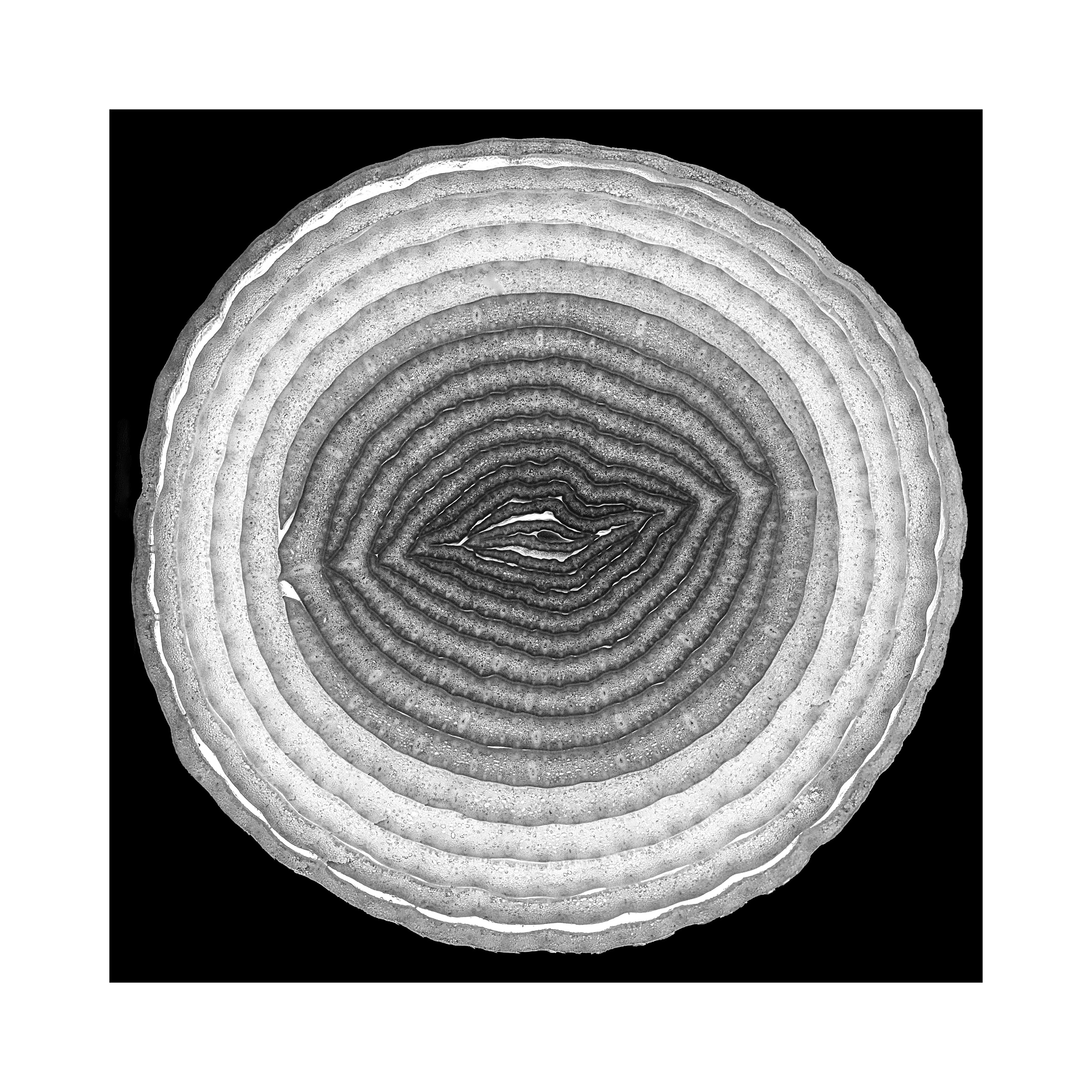 Фотопроект «Круги жизни». Портретный фотограф в Челябинске Катерина Руди