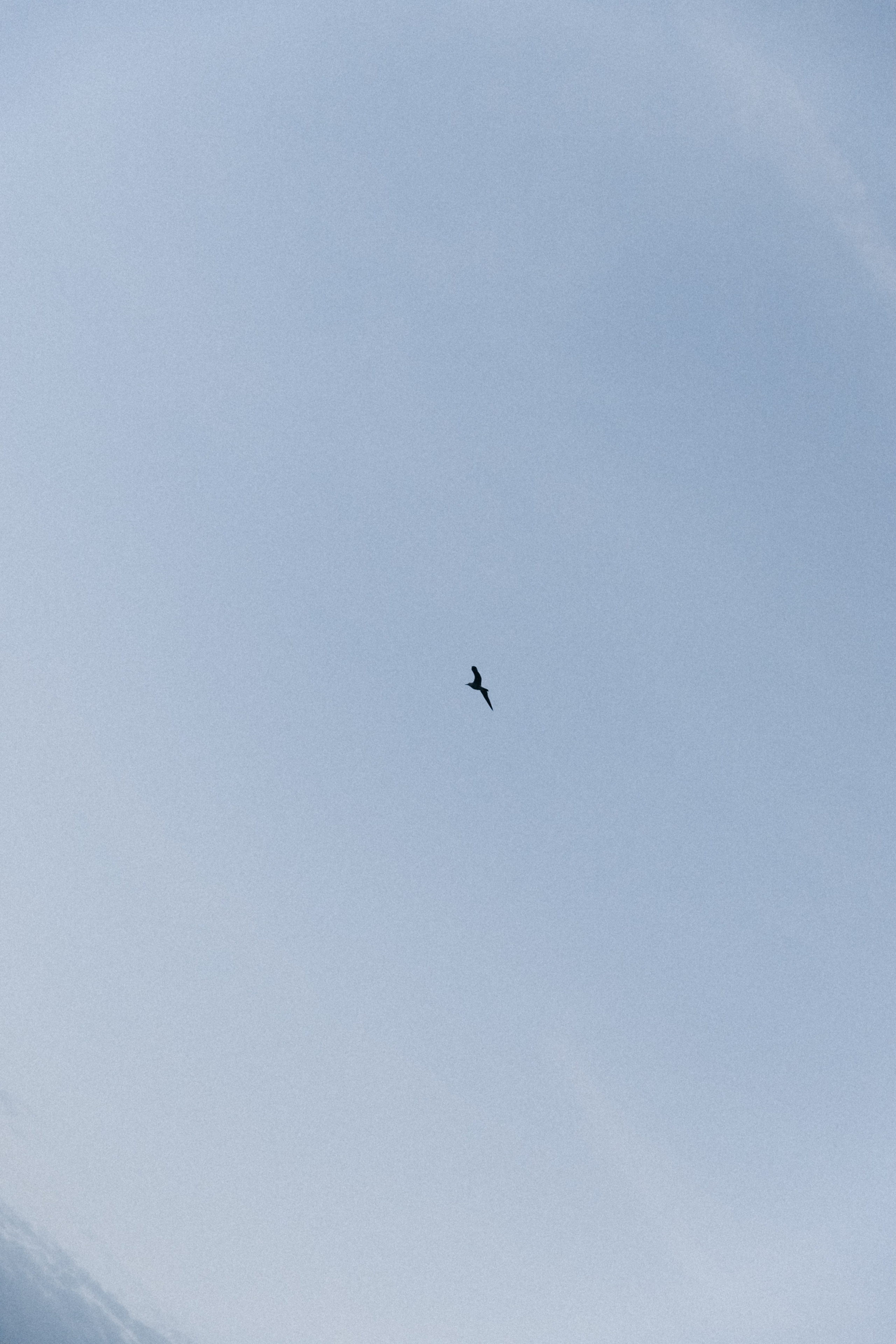 Алексей, София и Федя. Фотограф Сочи Адлер Красная Поляна Ошутина Анастасия