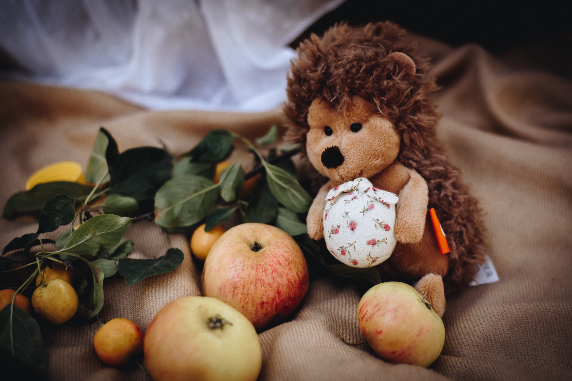 Прогулка в парке. Семейный фотограф в г.Москве Катя Норм