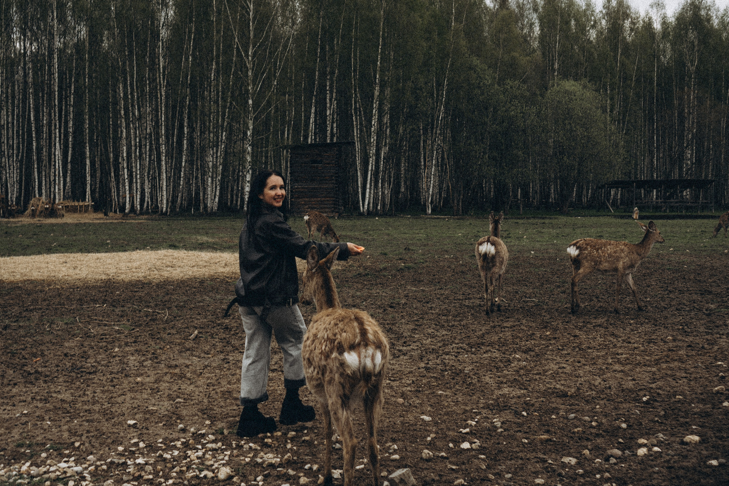 ОЛЕНЬЯ ФЕРМА В ТВЕРИ. Профессиональный фотограф, Санкт-Петербург — Виктория Богомолова