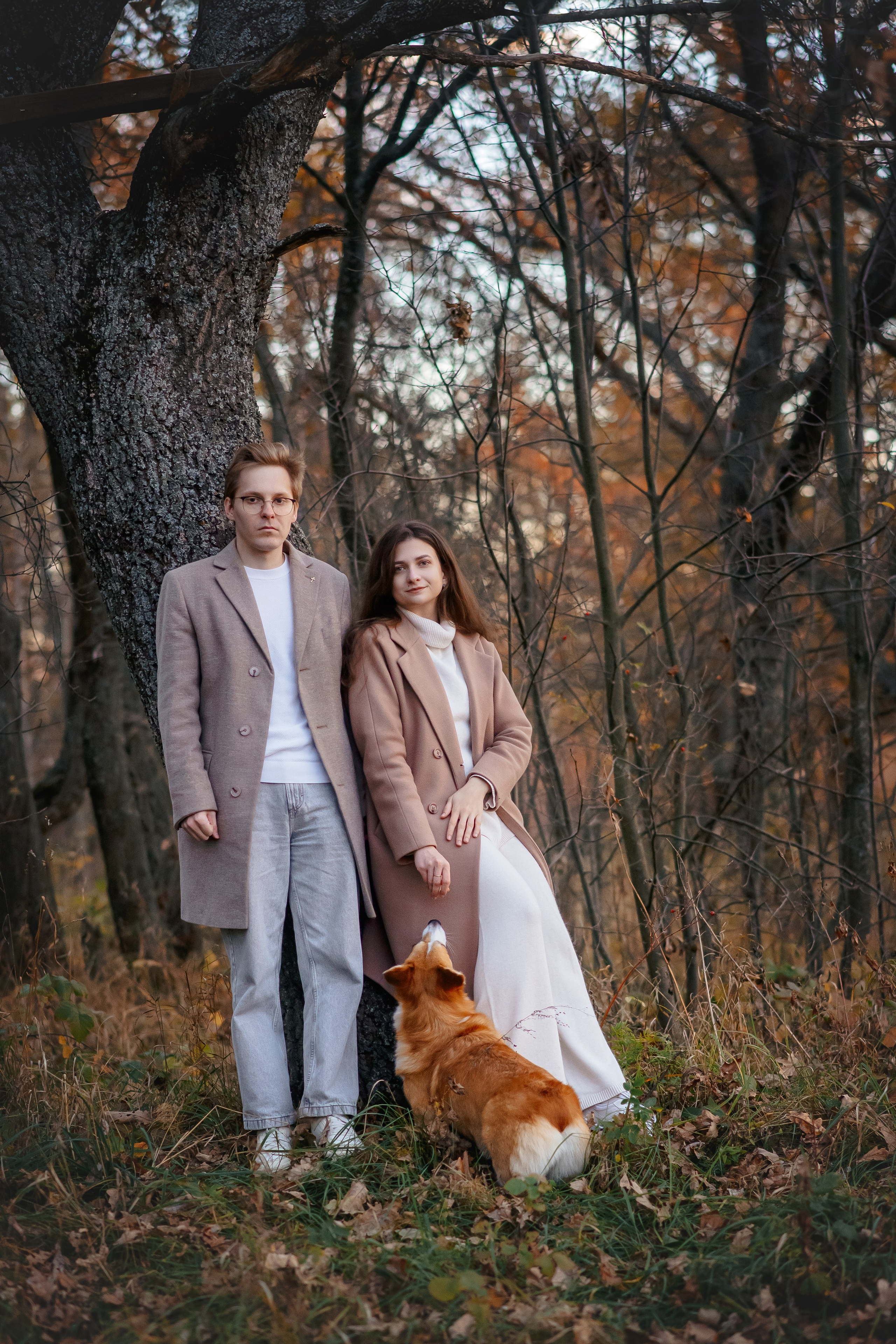 Максим, Аня и Челси — 19.10.2024. Фотограф — Анималист | Анна Абрамова