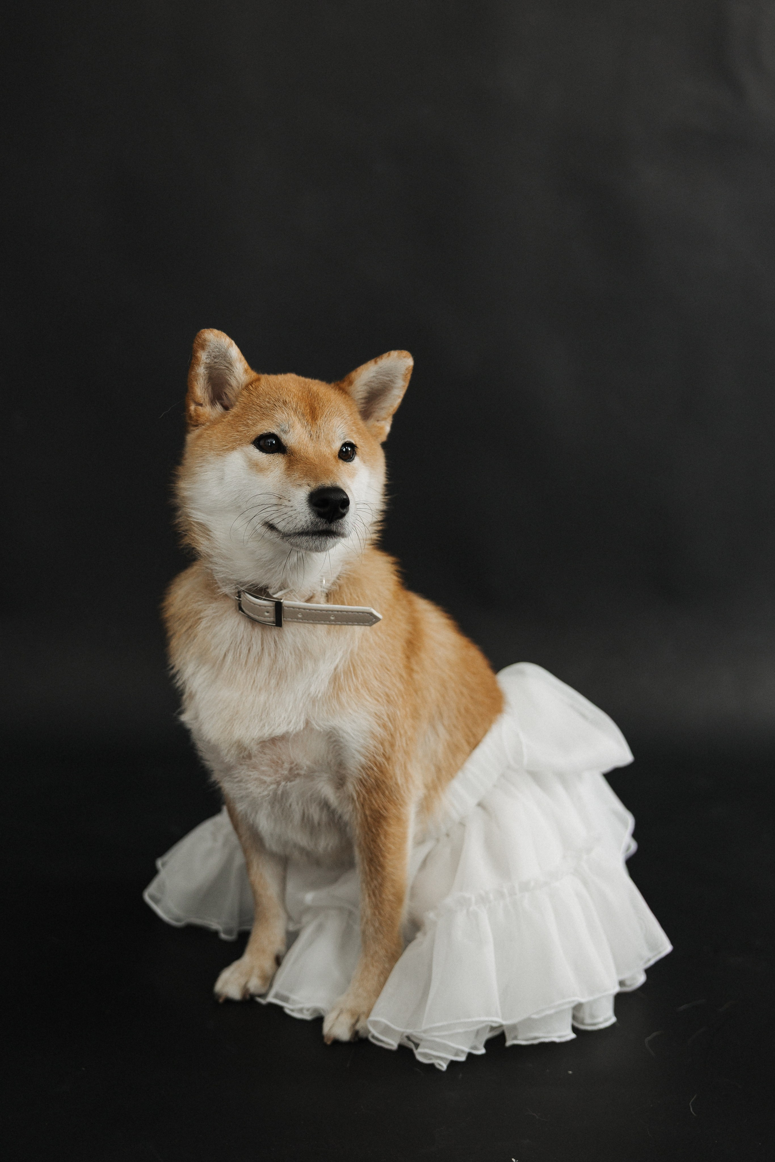 Катя и Саша. Свадебный фотограф в Москве и Екатеринбурге