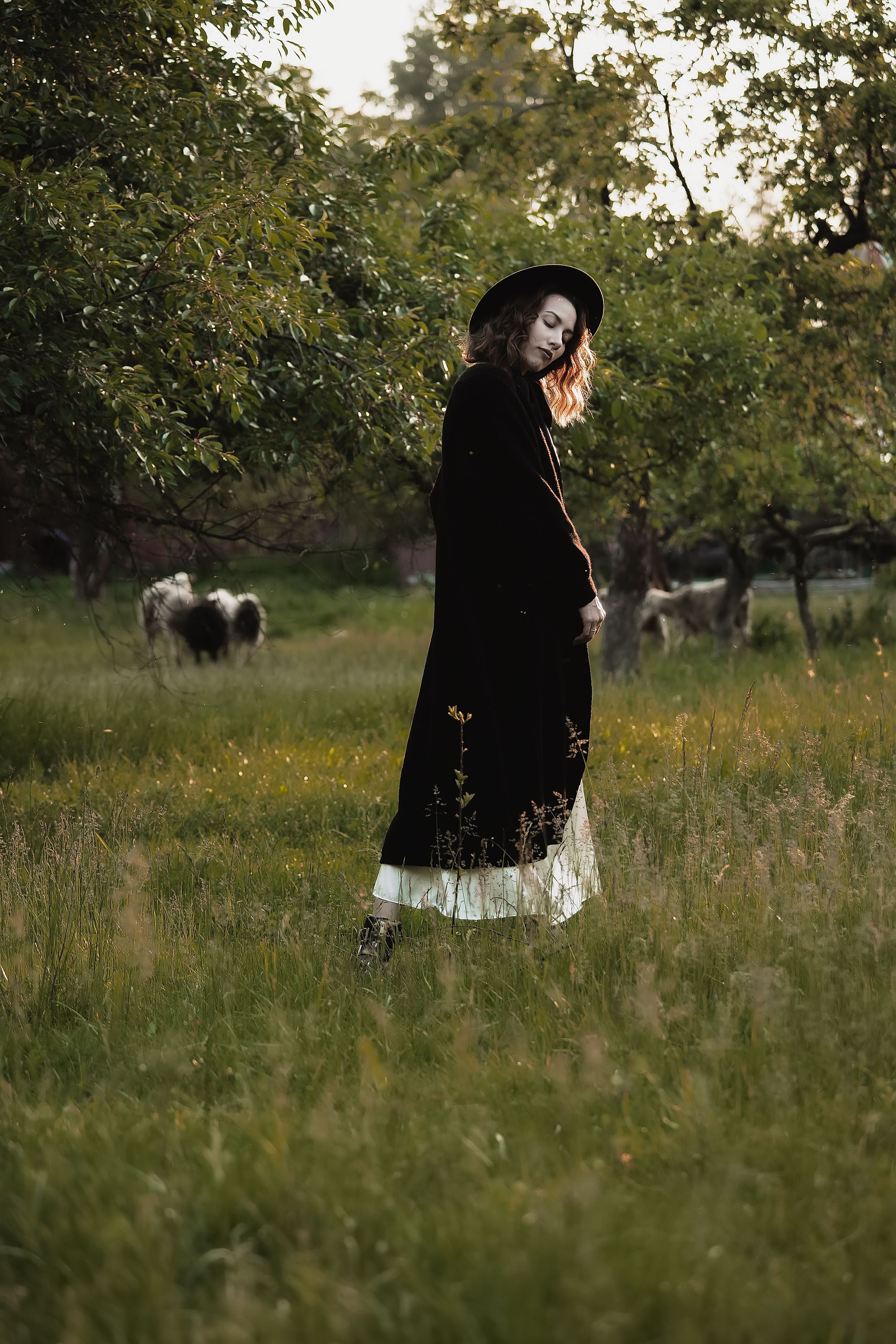 Фотосессия с овечками. Семейный, индивидуальный фотограф в Москве Ангели Марина