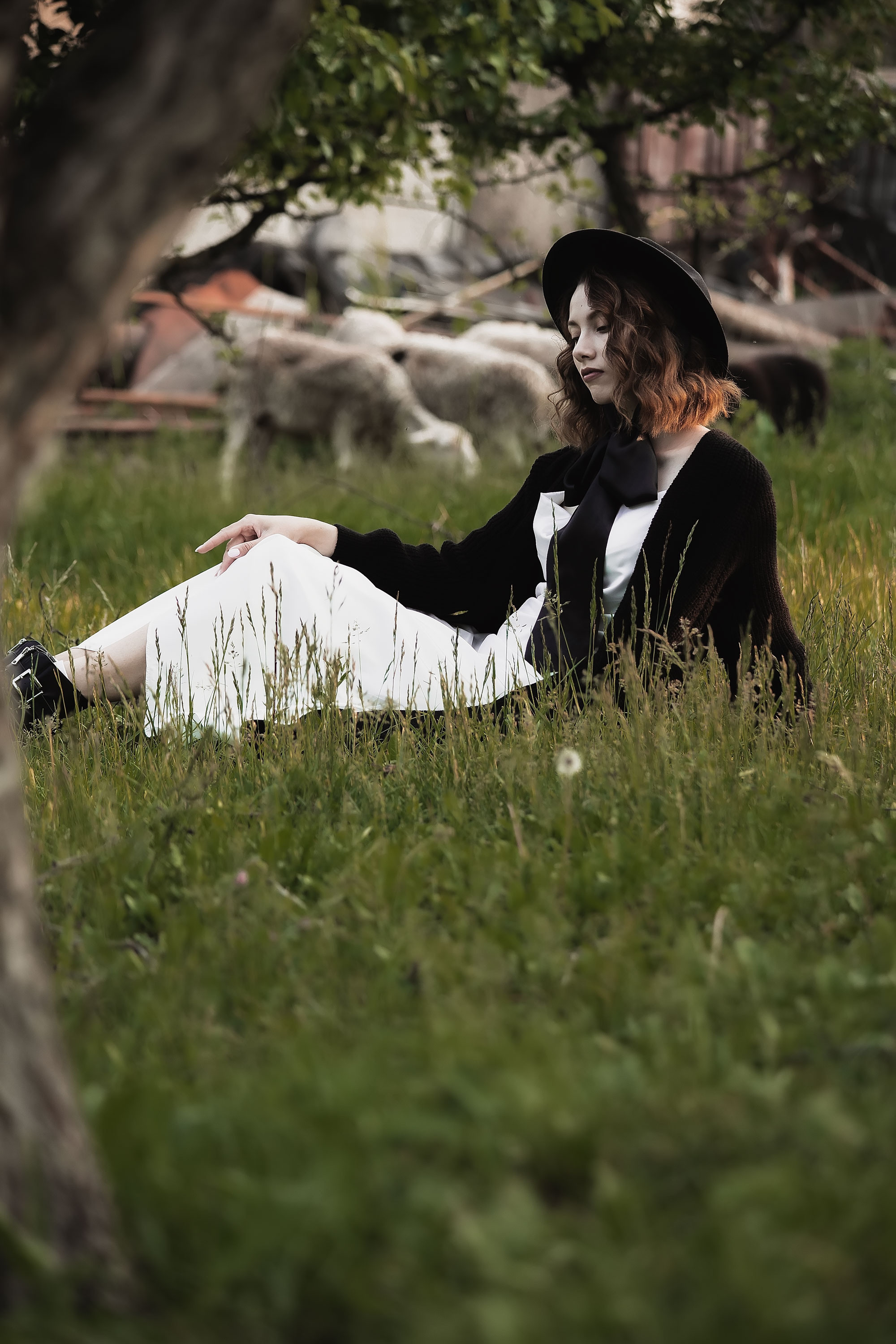 Фотосессия с овечками. Семейный, индивидуальный фотограф в Москве Ангели Марина