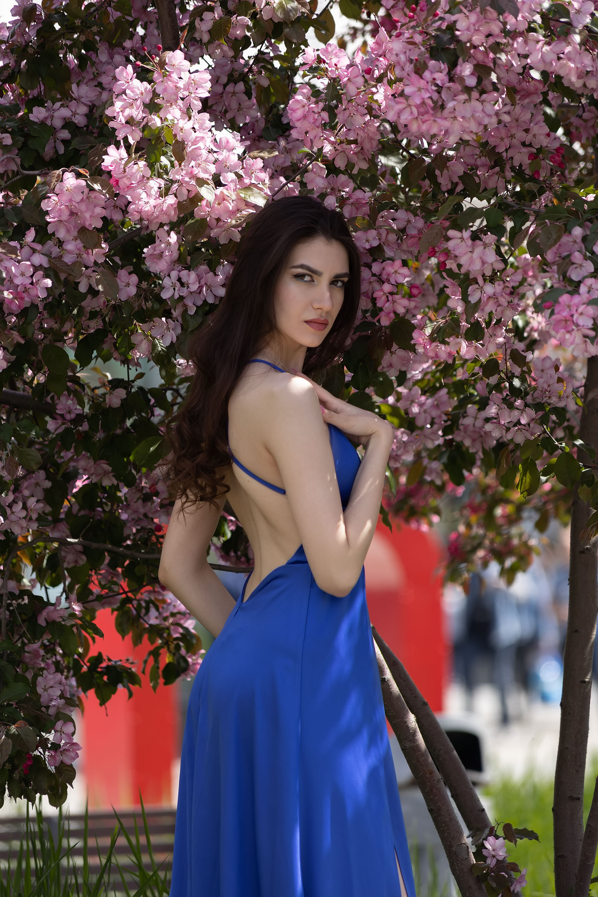 Фотосессия в розовых яблонях. Семейный, индивидуальный фотограф в Москве Ангели Марина