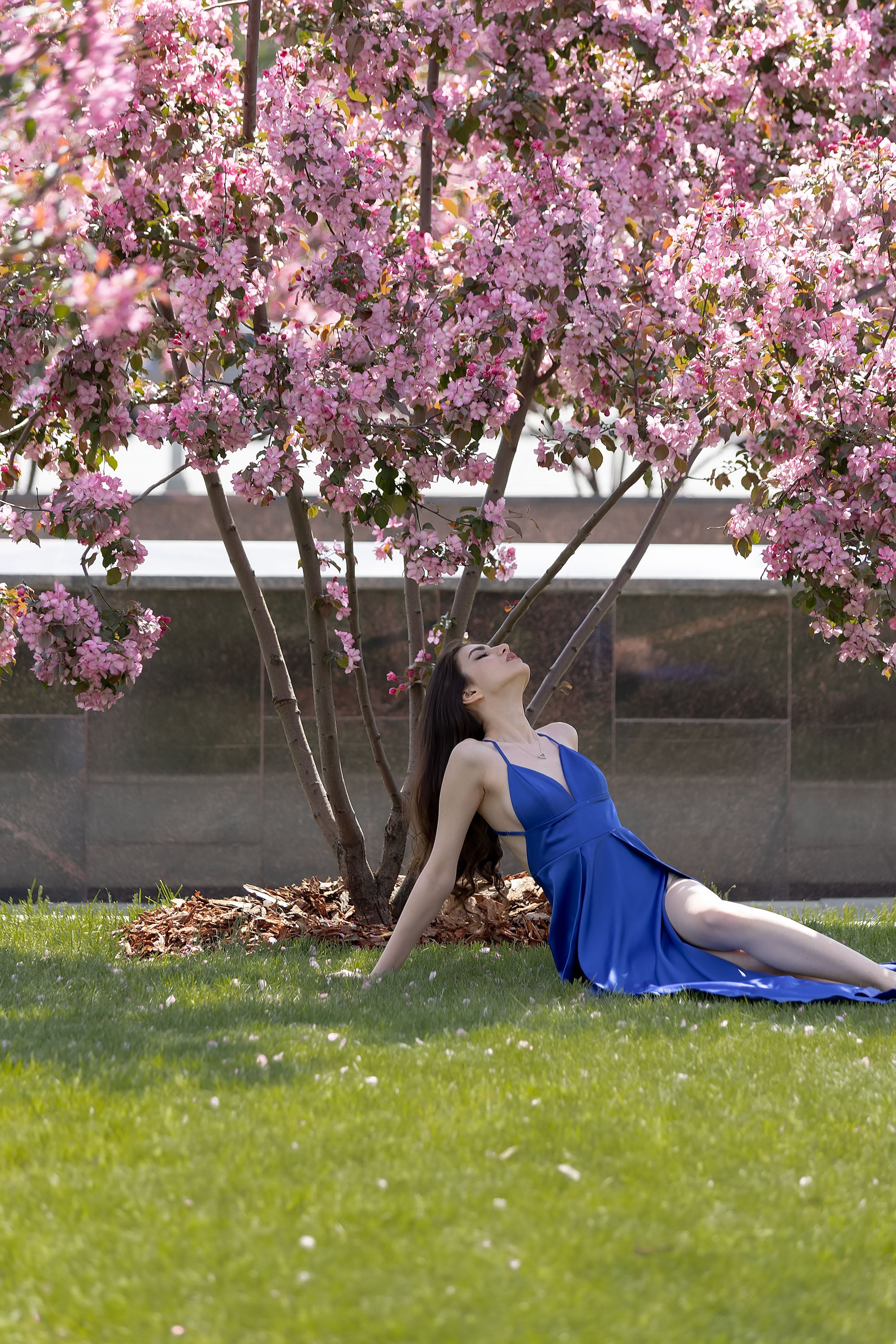 Фотосессия в розовых яблонях. Семейный, индивидуальный фотограф в Москве Ангели Марина