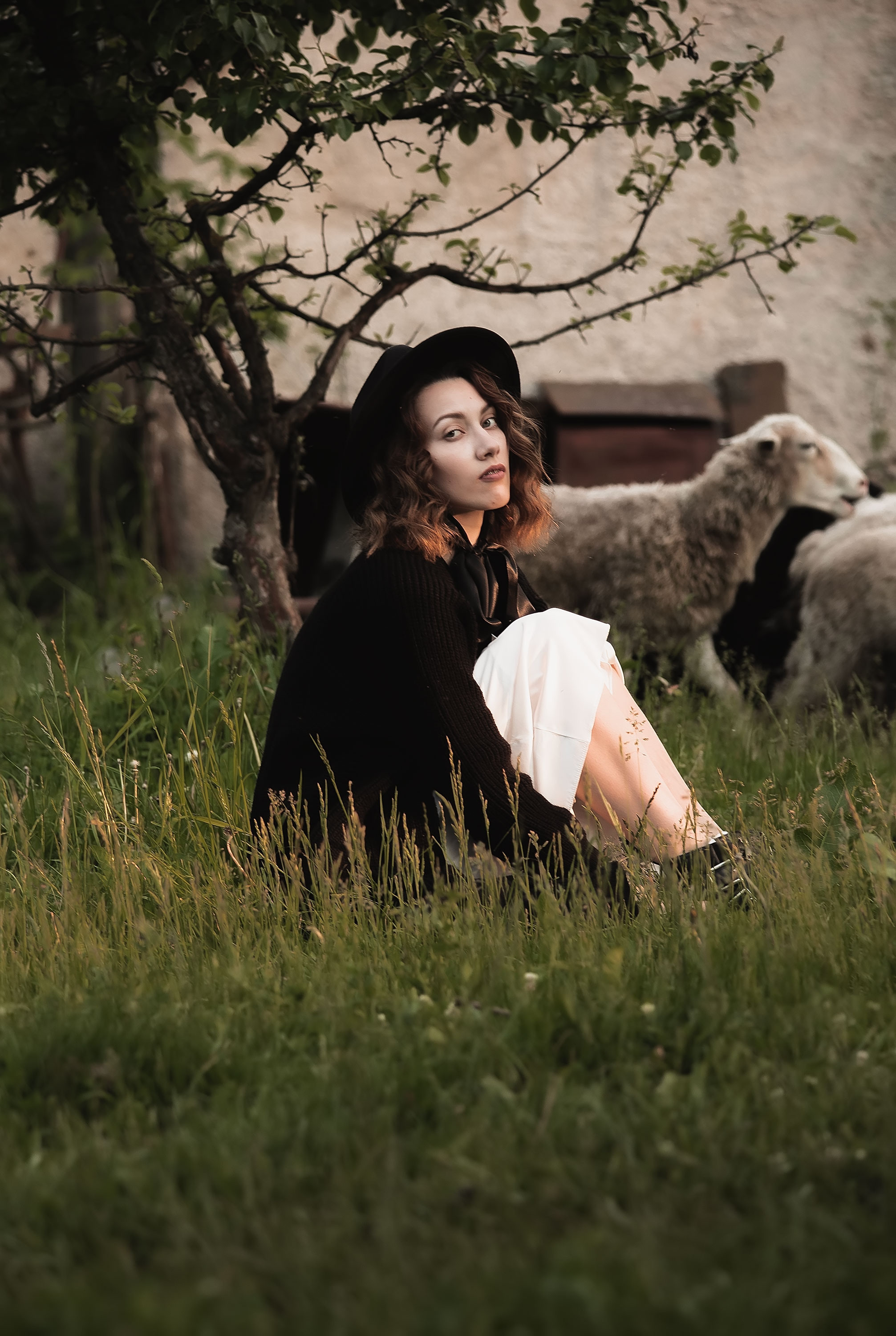 Фотосессия с овечками. Семейный, индивидуальный фотограф в Москве Ангели Марина