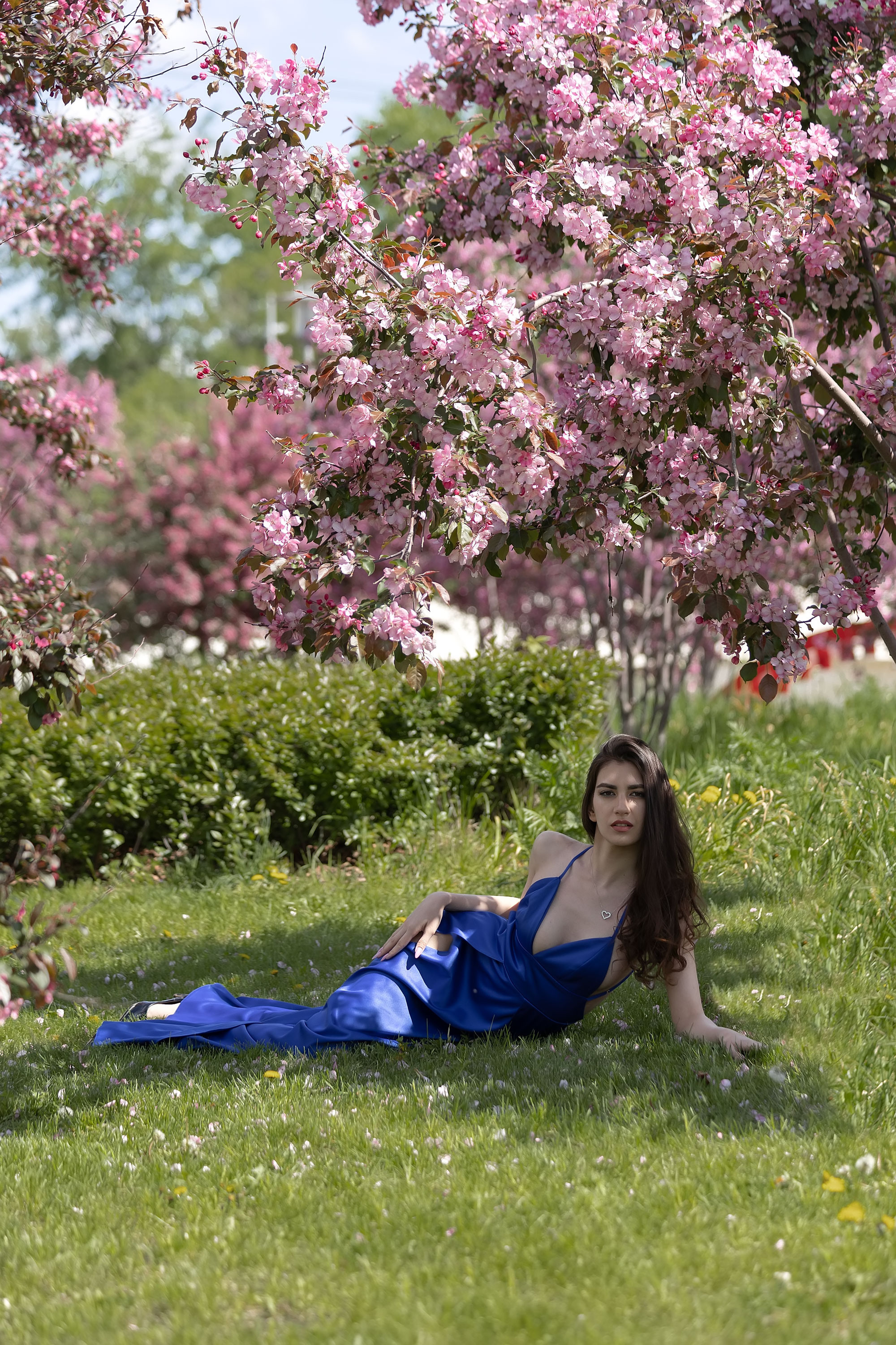 Фотосессия в розовых яблонях. Семейный, индивидуальный фотограф в Москве Ангели Марина