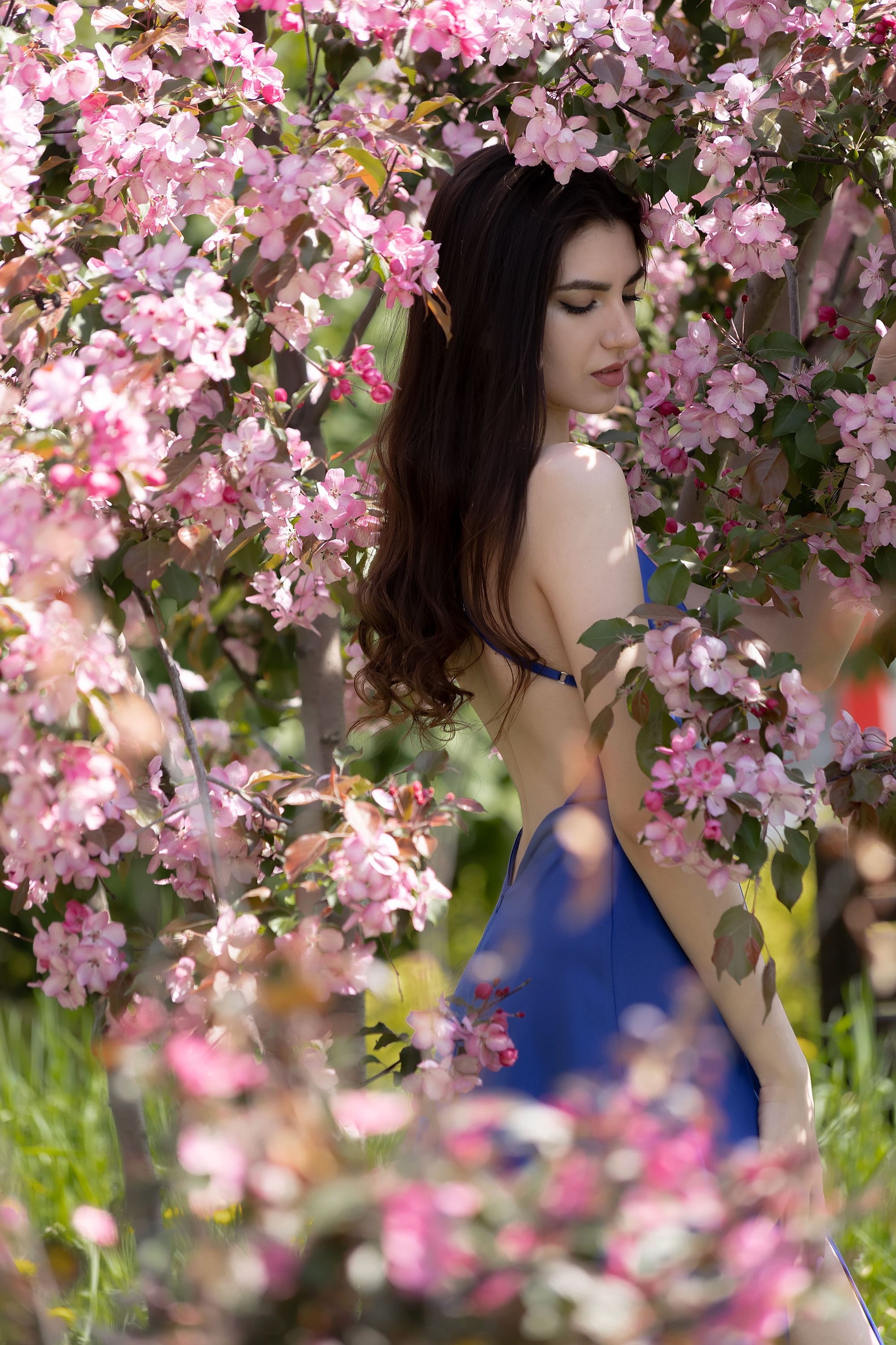 Фотосессия в розовых яблонях. Семейный, индивидуальный фотограф в Москве Ангели Марина