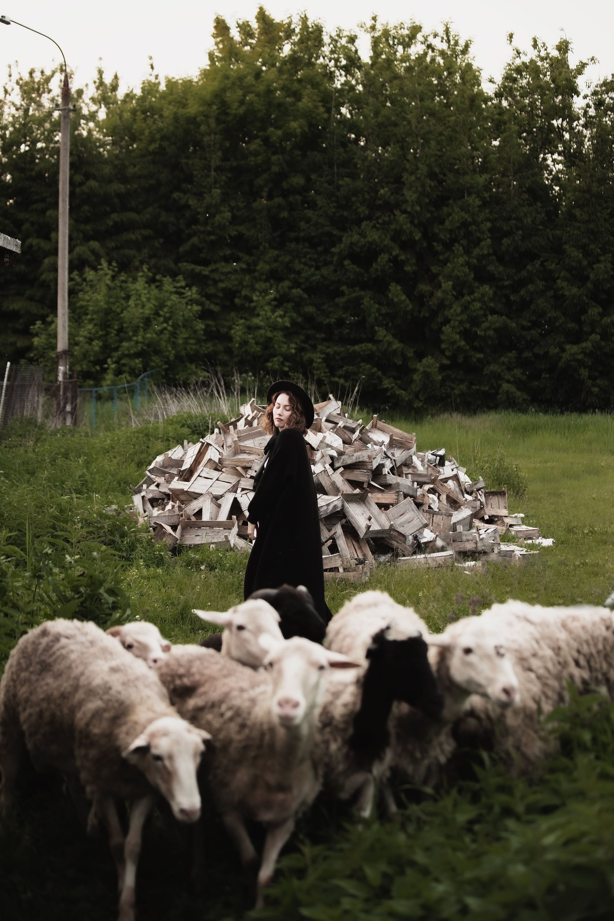 Фотосессия с овечками. Семейный, индивидуальный фотограф в Москве Ангели Марина