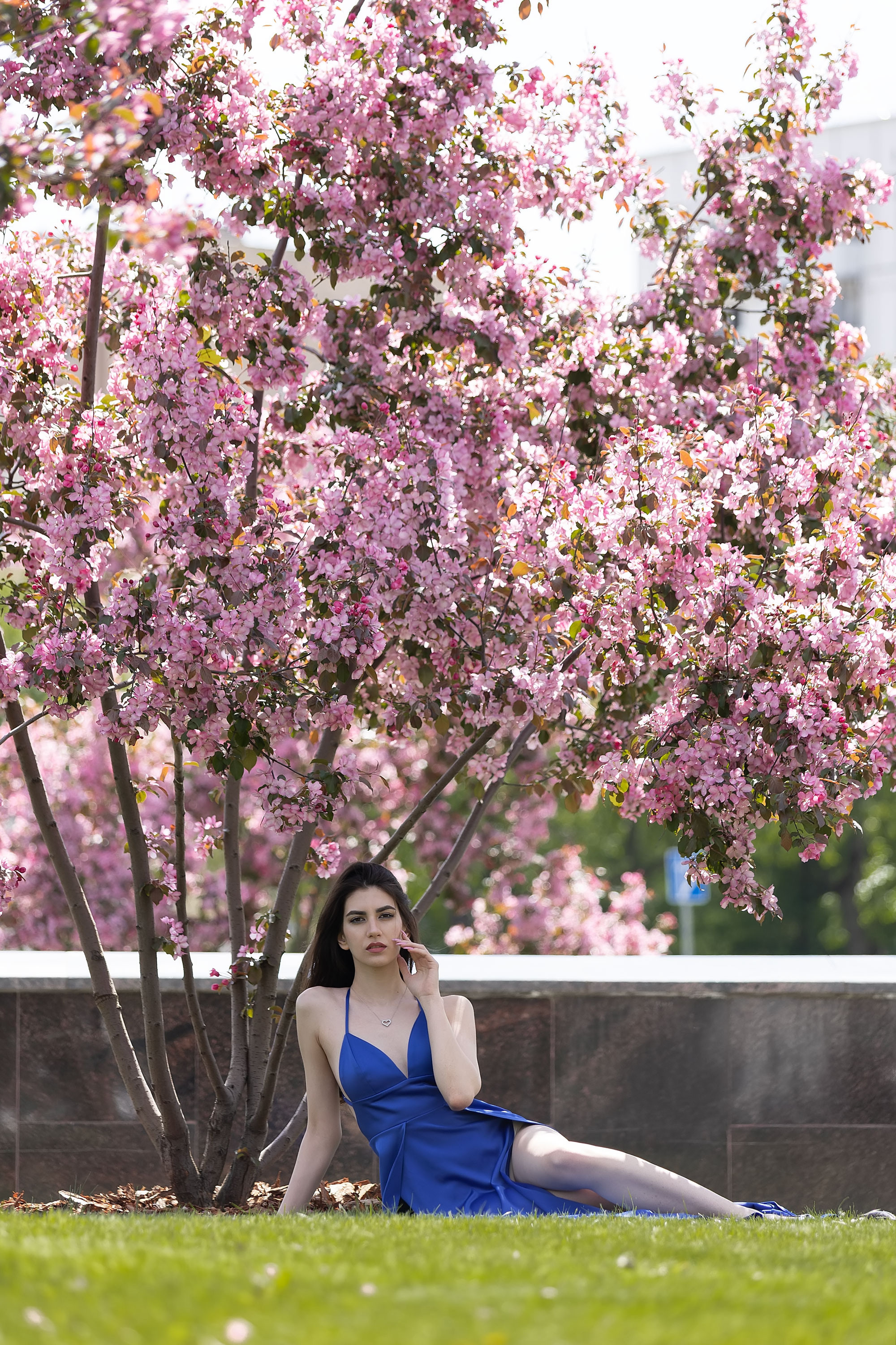 Фотосессия в розовых яблонях. Семейный, индивидуальный фотограф в Москве Ангели Марина