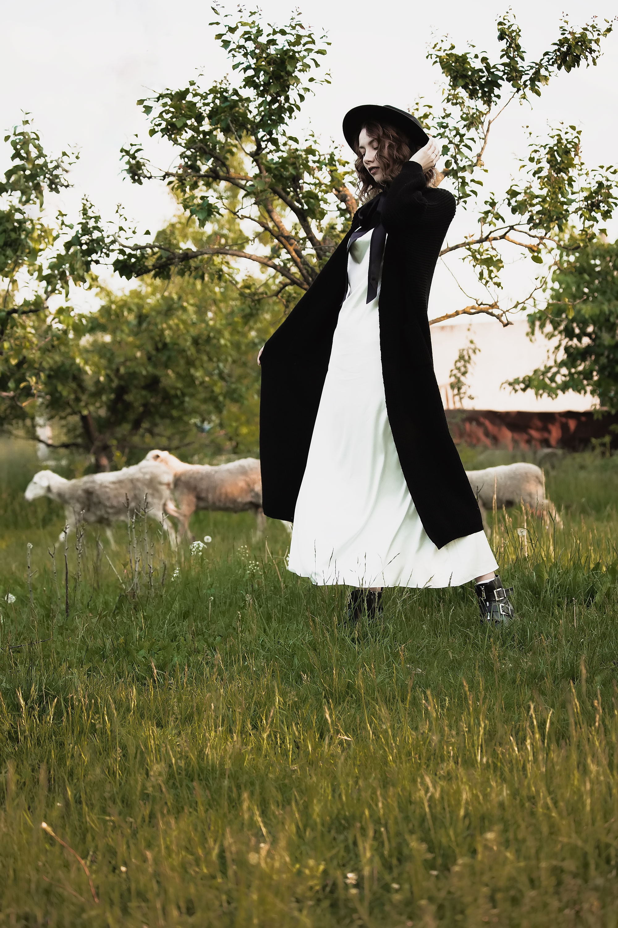 Фотосессия с&nbsp;овечками