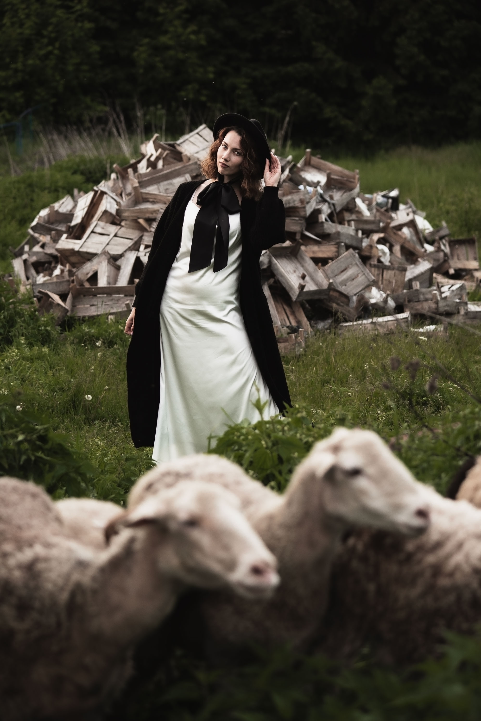 Фотосессия с овечками. Семейный, индивидуальный фотограф в Москве Ангели Марина