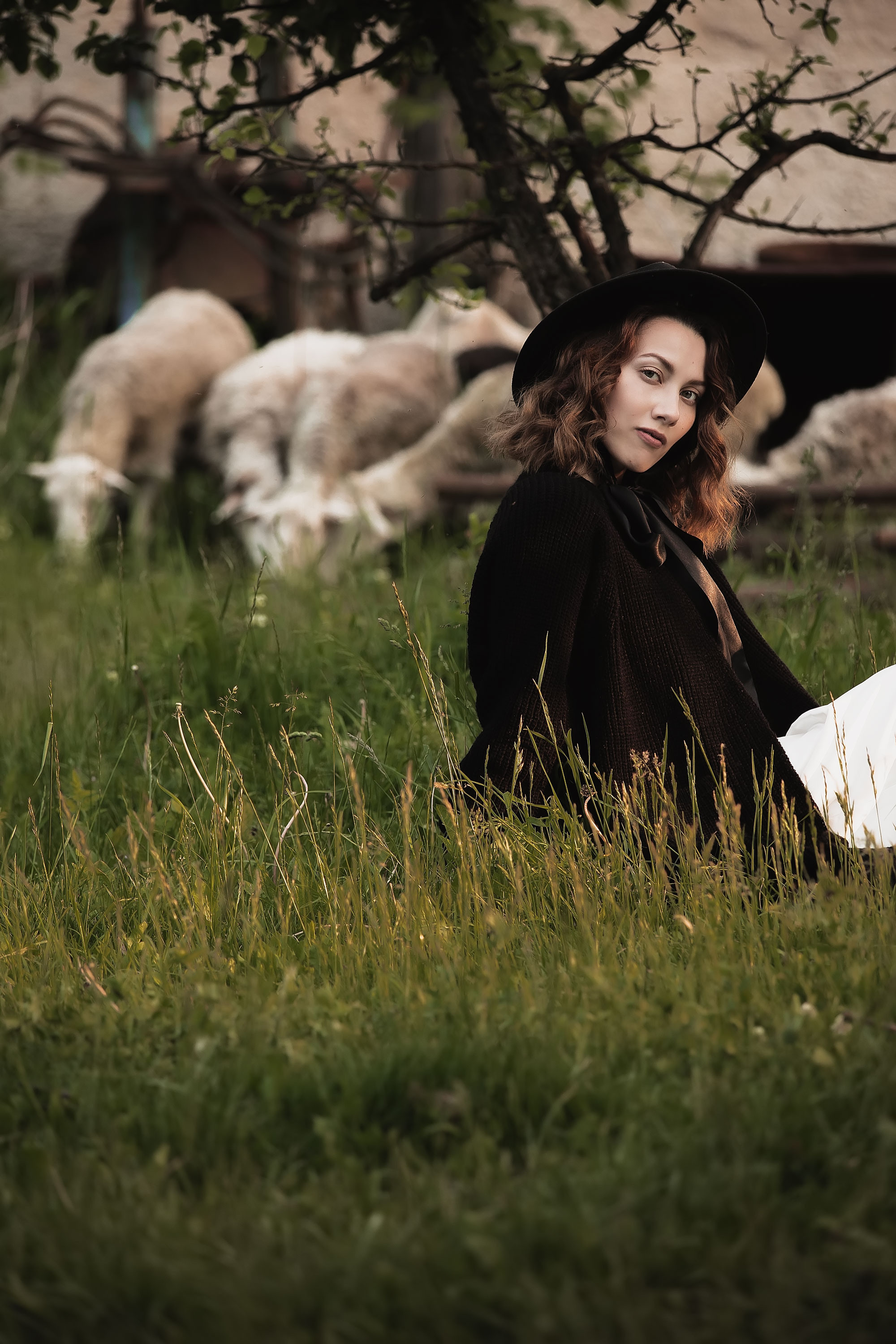 Фотосессия с овечками. Семейный, индивидуальный фотограф в Москве Ангели Марина