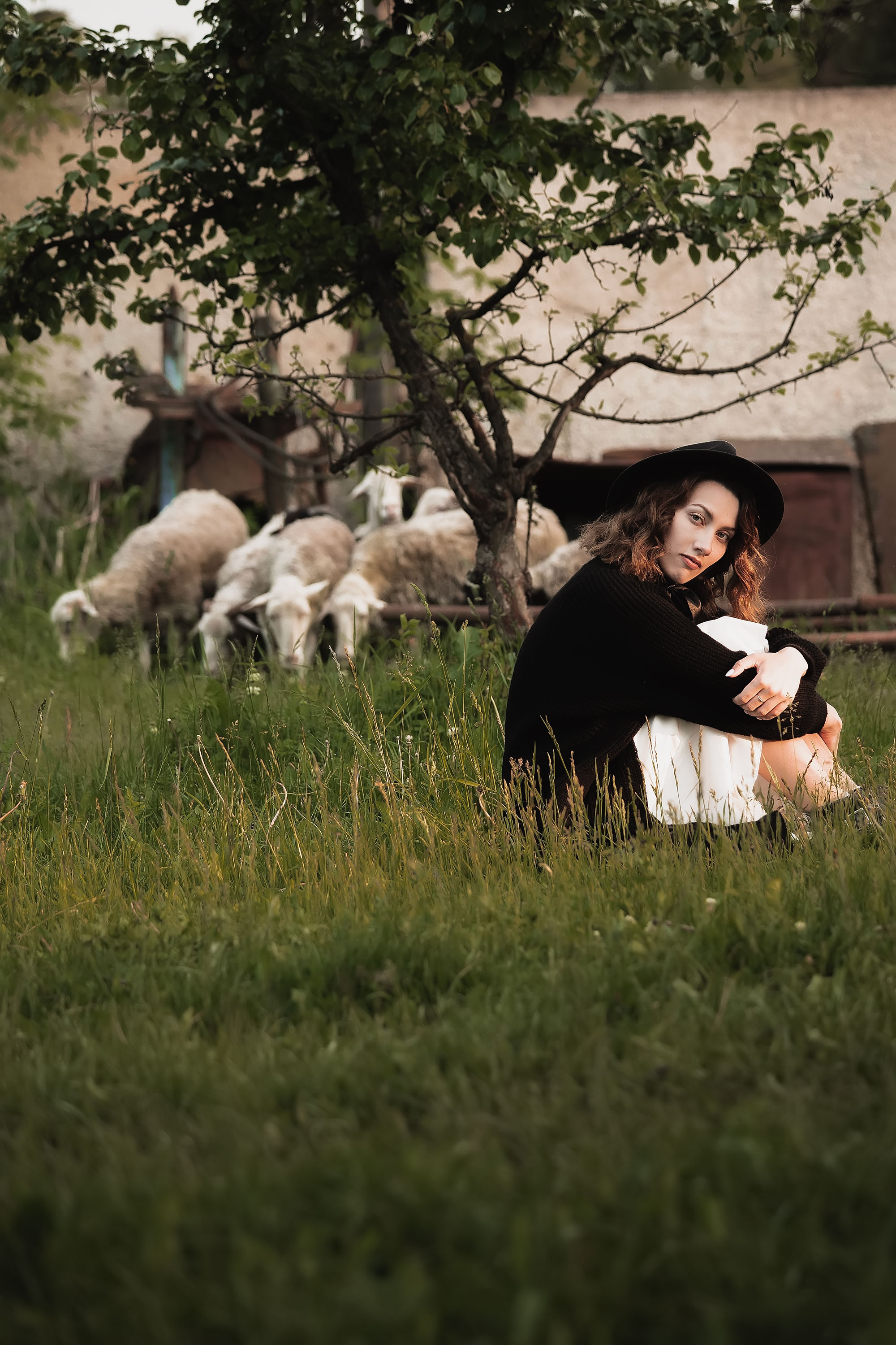 Фотосессия с овечками. Семейный, индивидуальный фотограф в Москве Ангели Марина