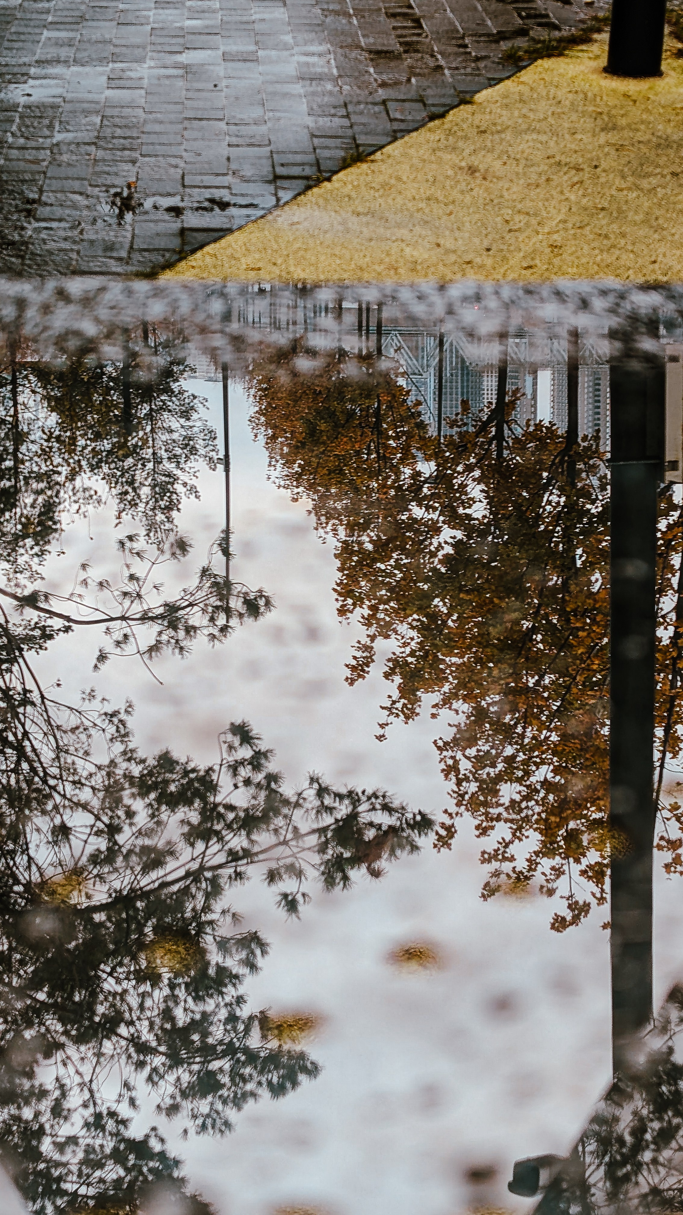 Мобильная фотография. Интерьерный и портретный фотограф в Москве Анна Моногарова