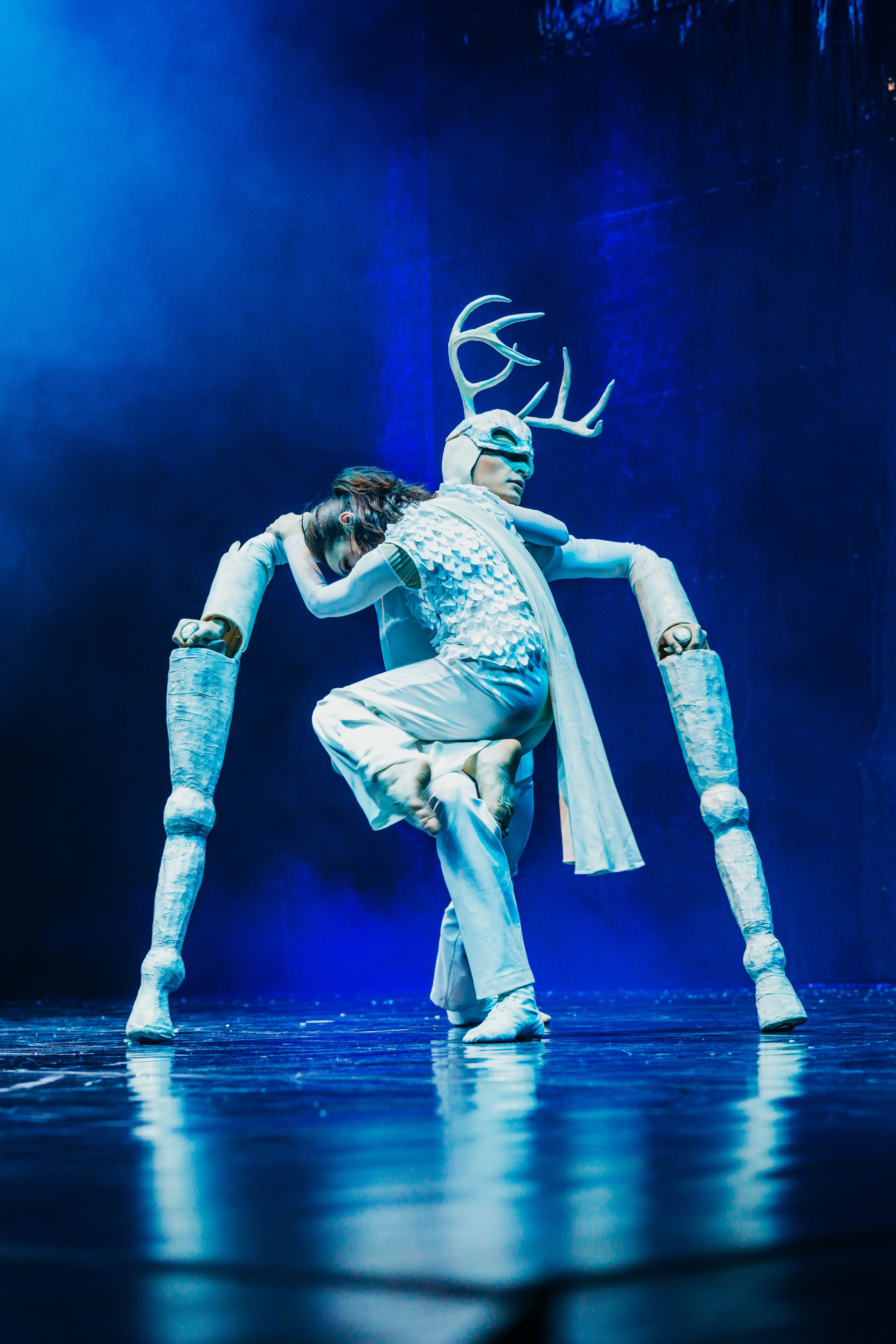 Чувство снега. Фотограф Петрова Мария