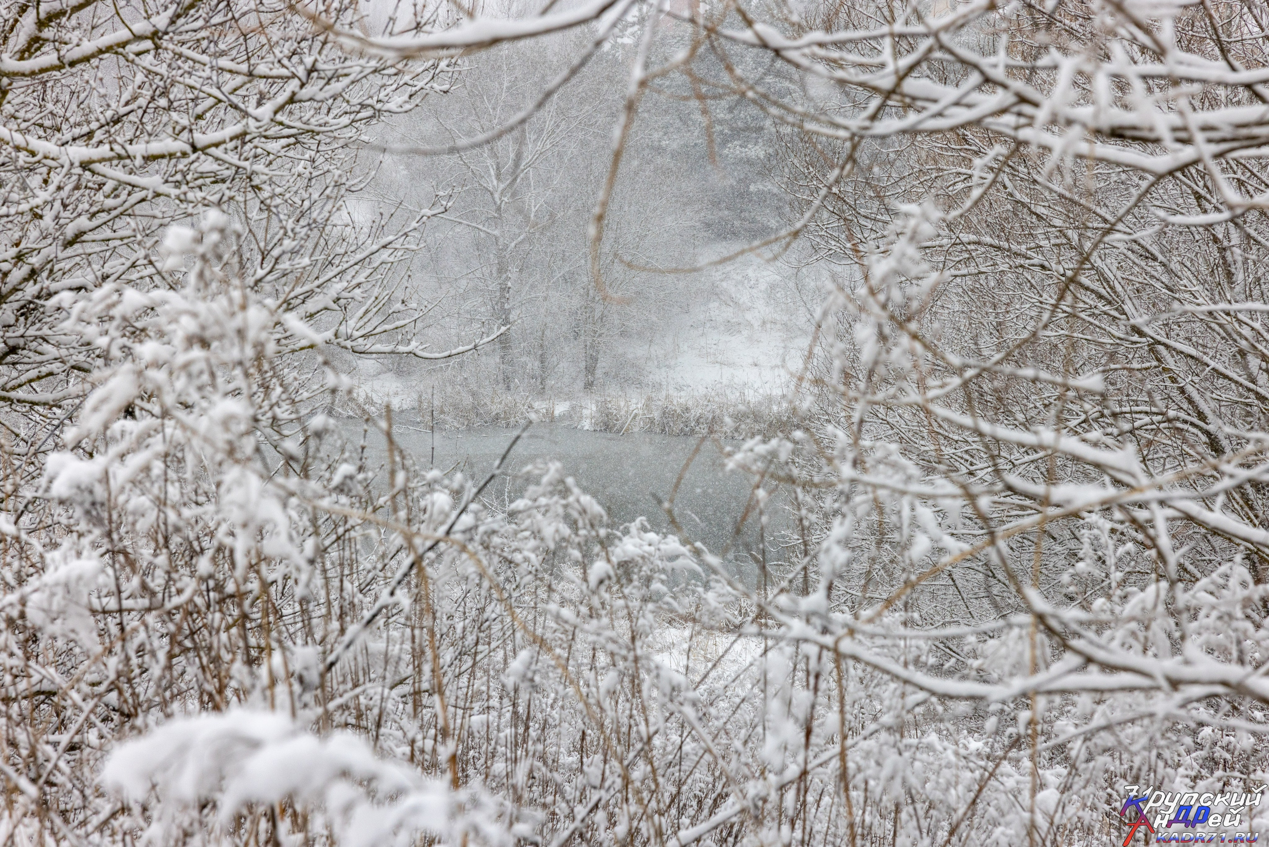 И снова Басово-Прудный. Фотограф в Туле Крупский АнДРей. Фотостудия «КАДР71» в Туле