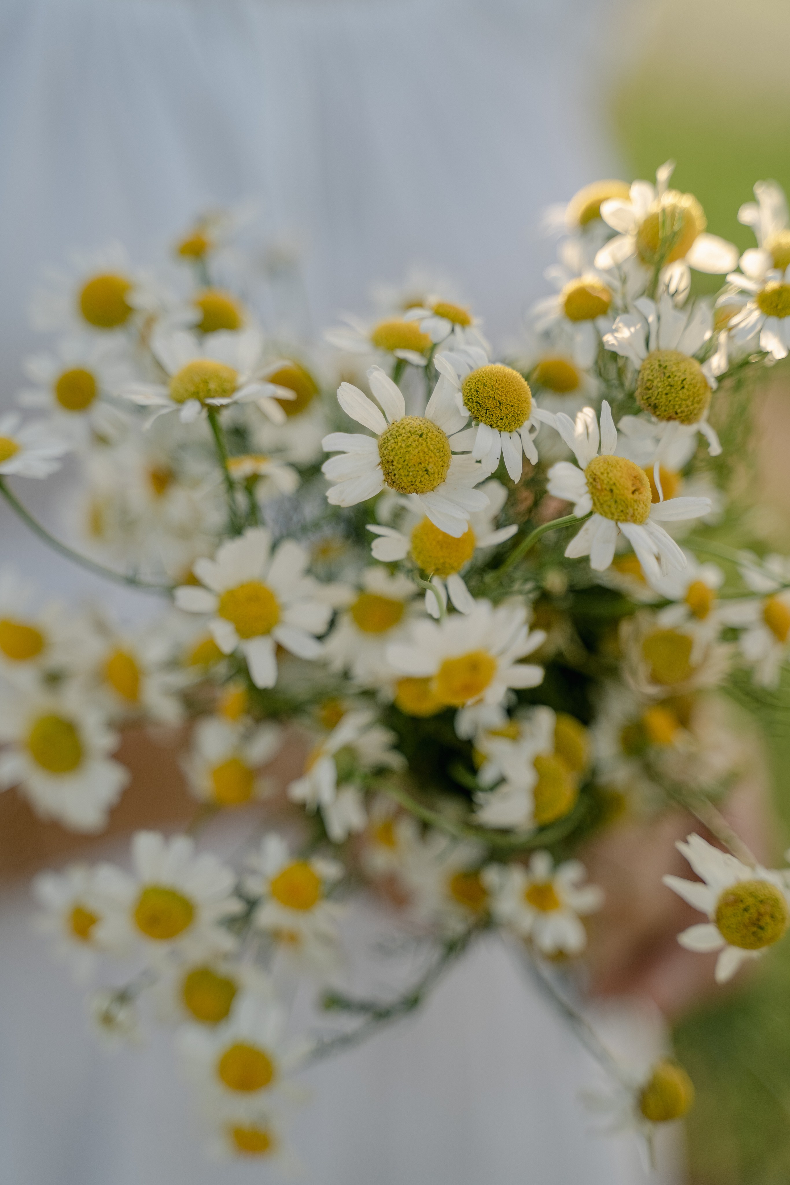Юлия Антон Артём Егор. Свадебный семейный фотограф Ксения Божко Уфа Раевка никах в Нарыстау